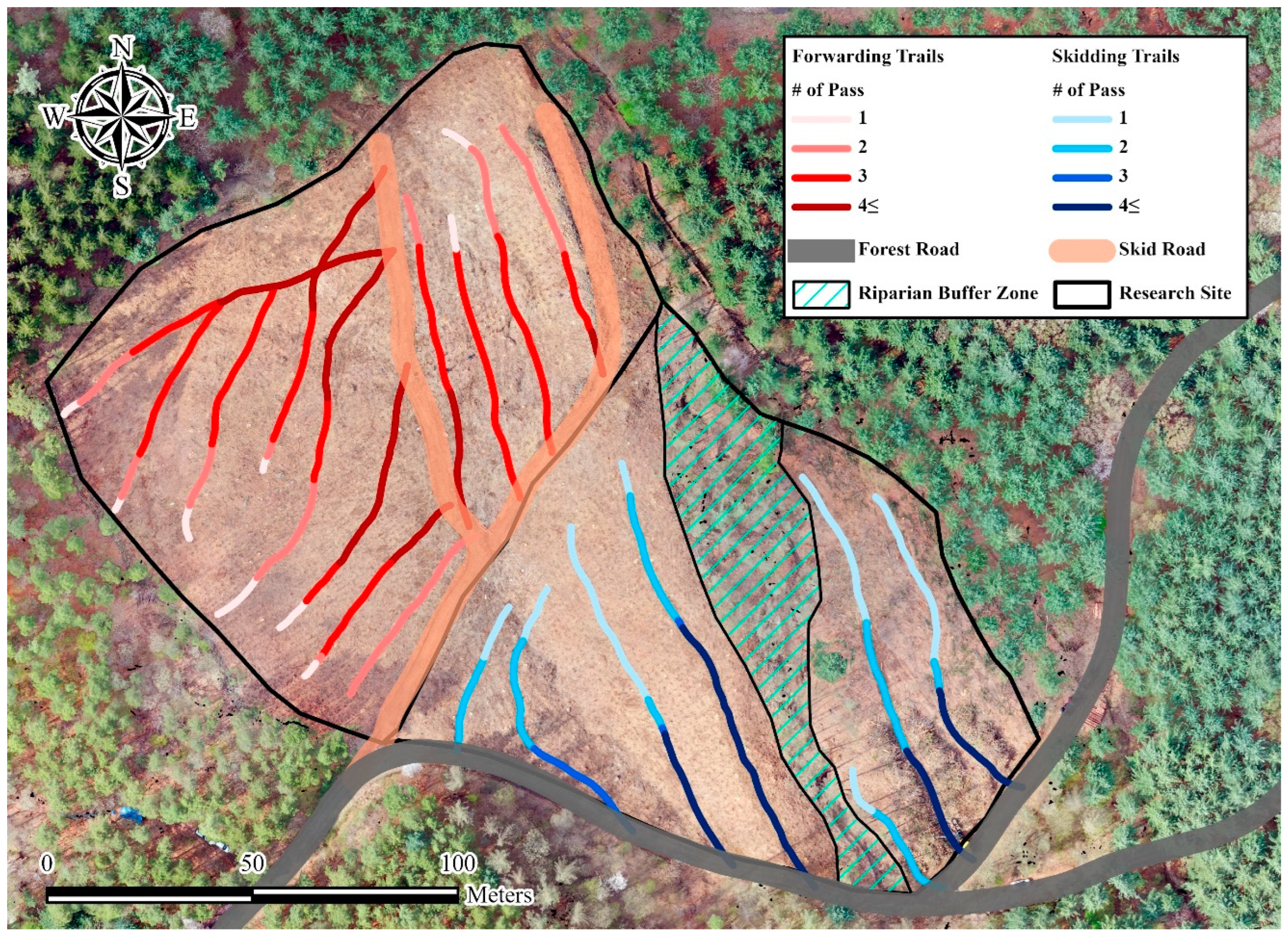 Forests 15 00985 g001 Forests 15 00985 g001