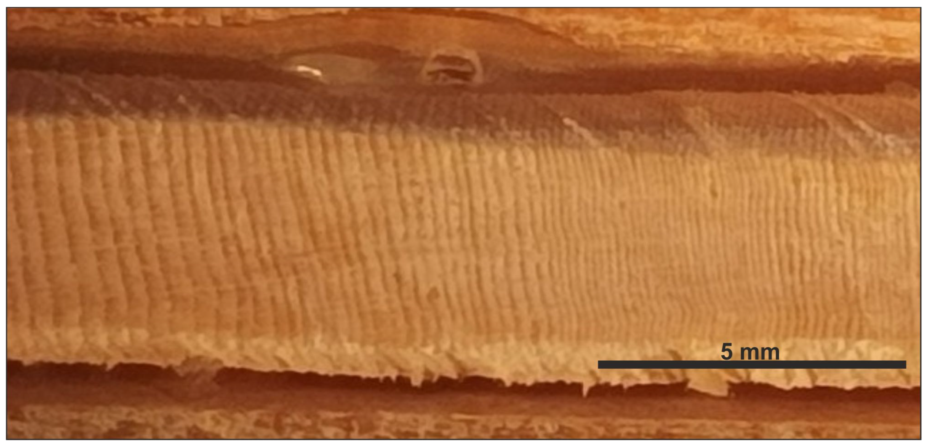 Forests 15 00986 g005