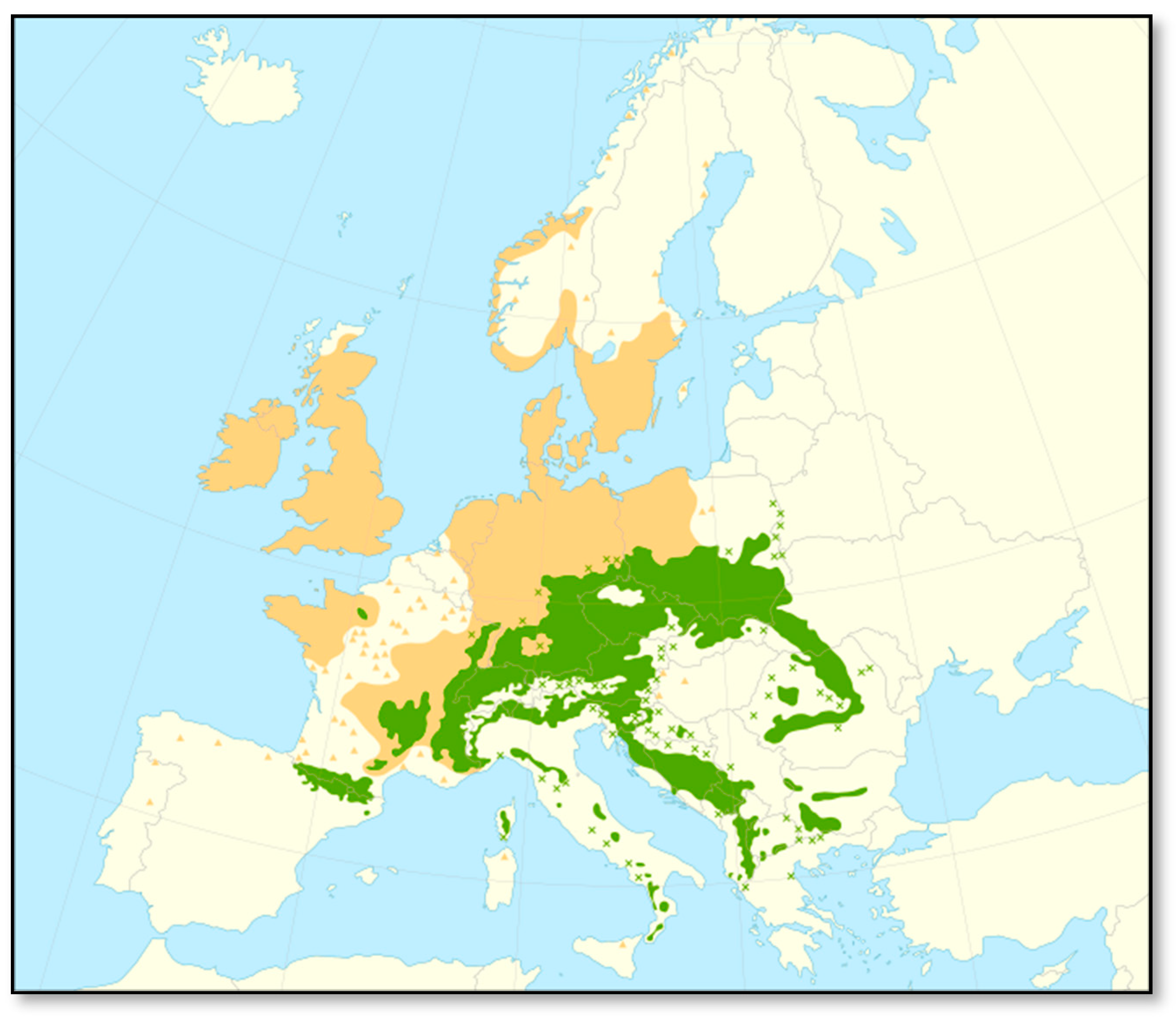 Forests 15 00998 g002