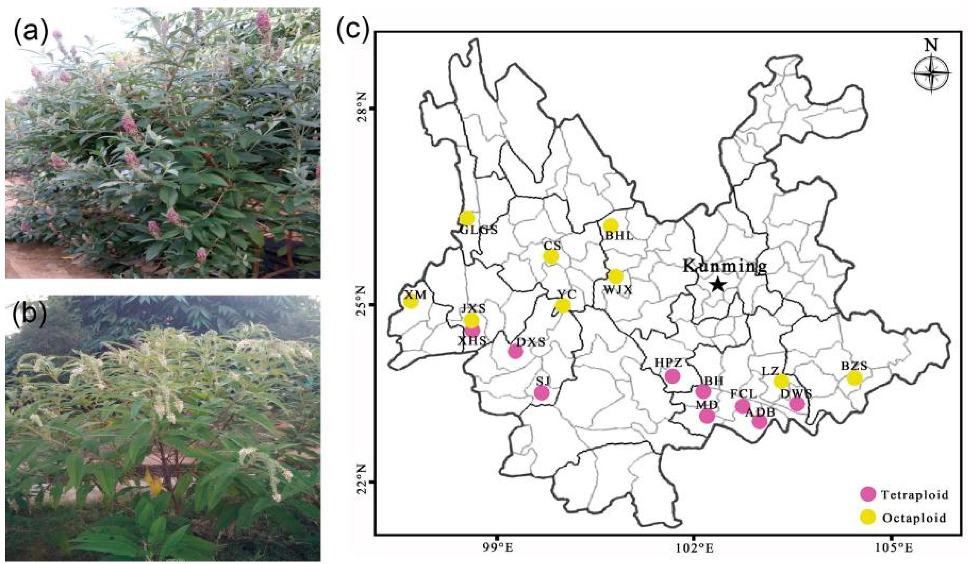 Forests 15 01007 g001