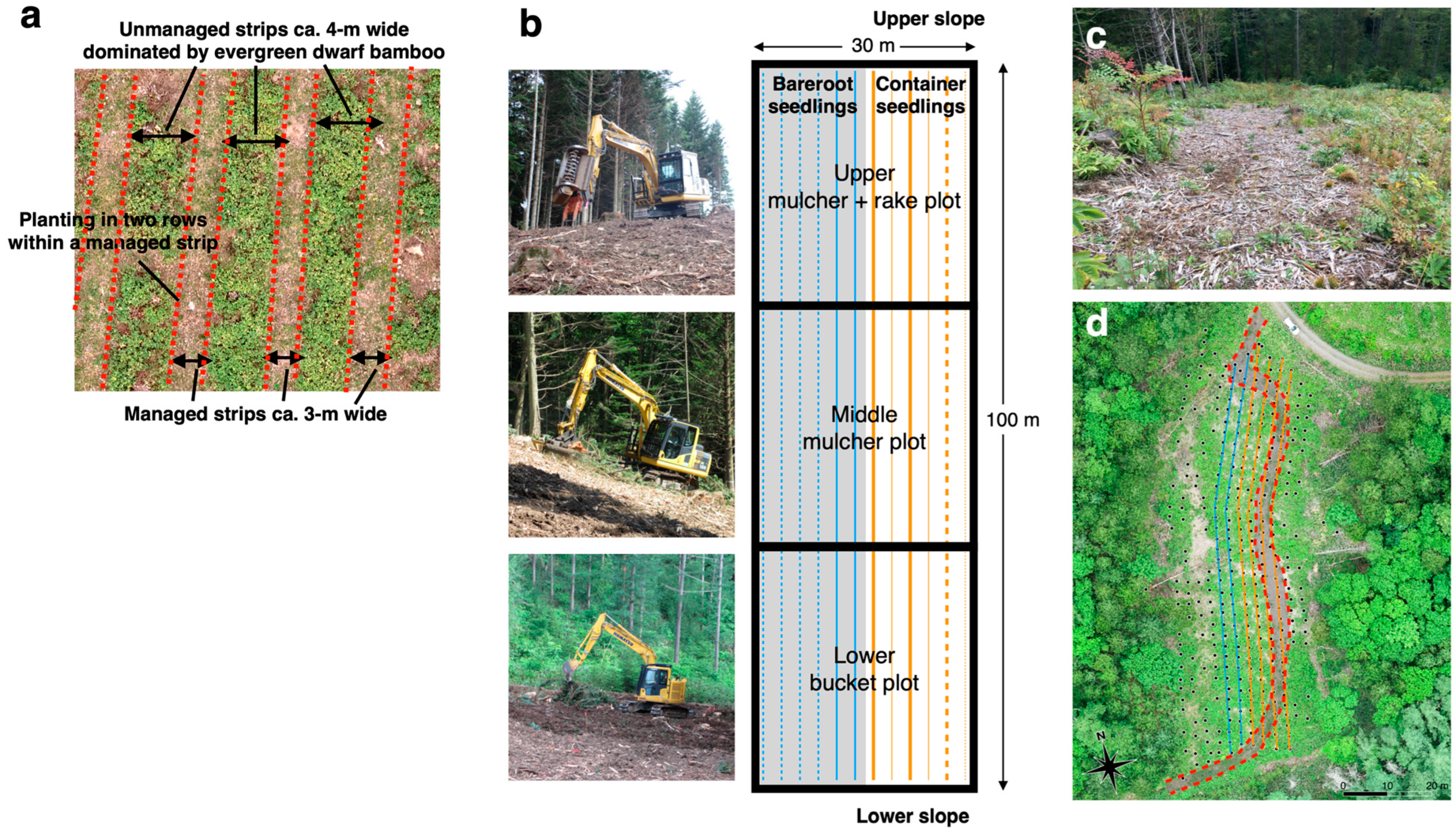 Forests 15 01012 g001