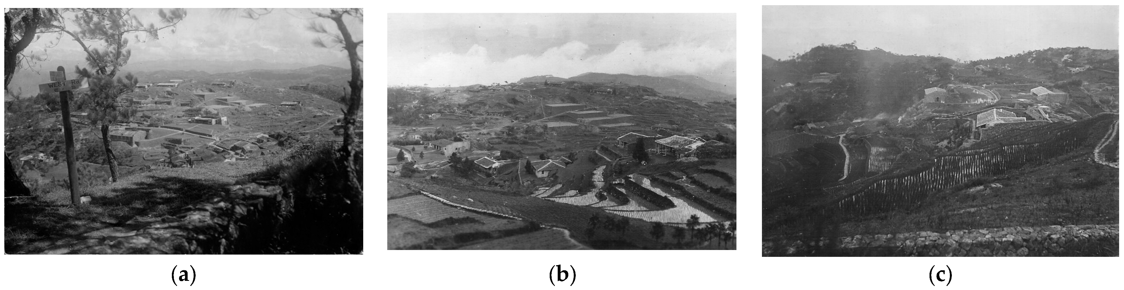 Forests 15 01016 g009