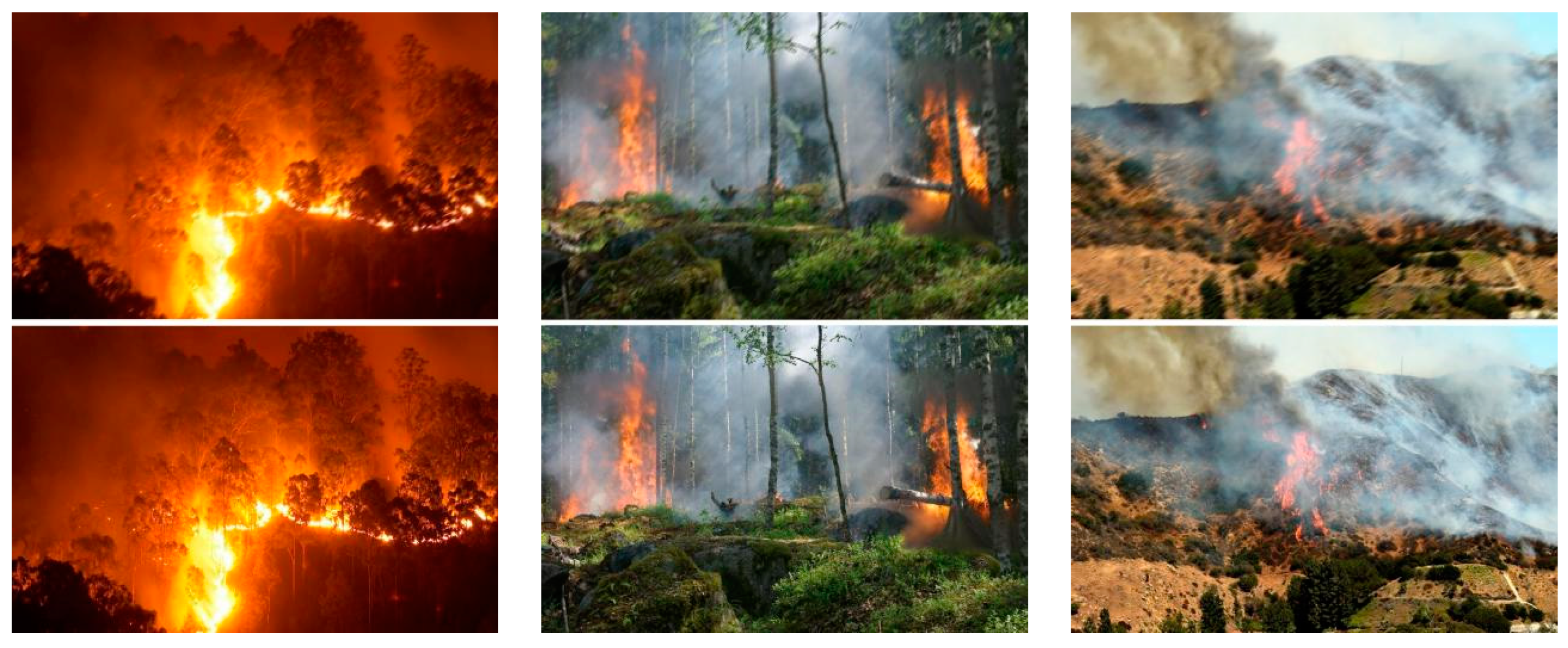 Forests 15 01030 g001