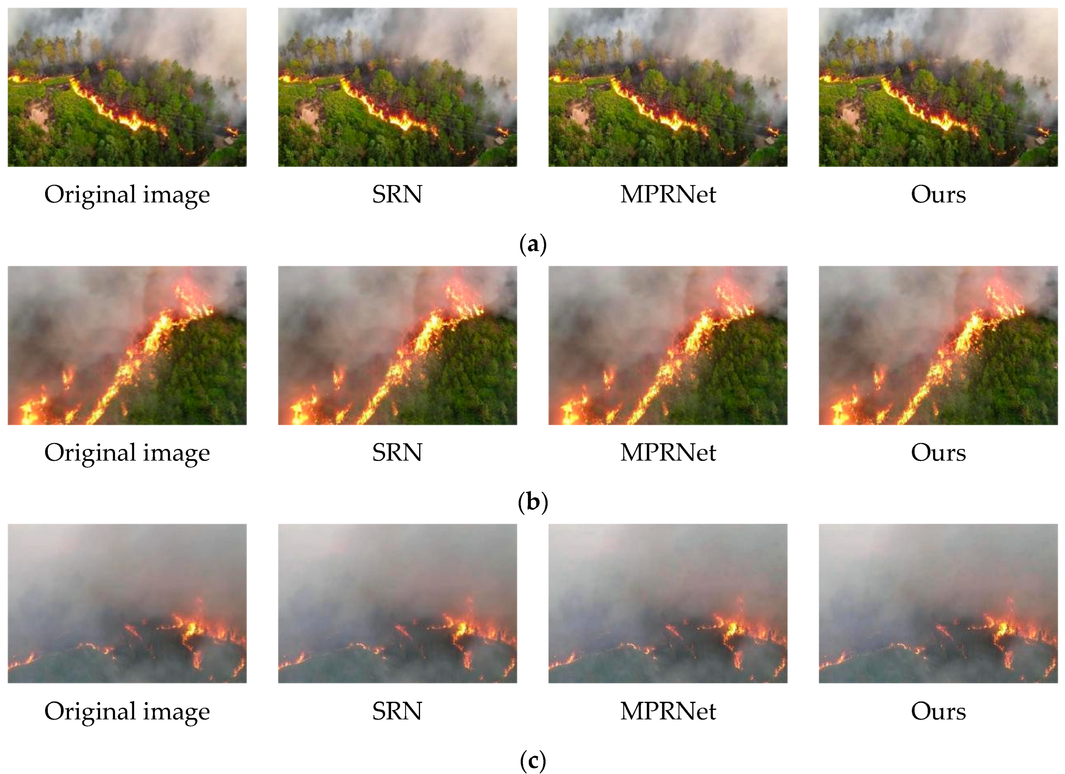 Forests 15 01030 g010