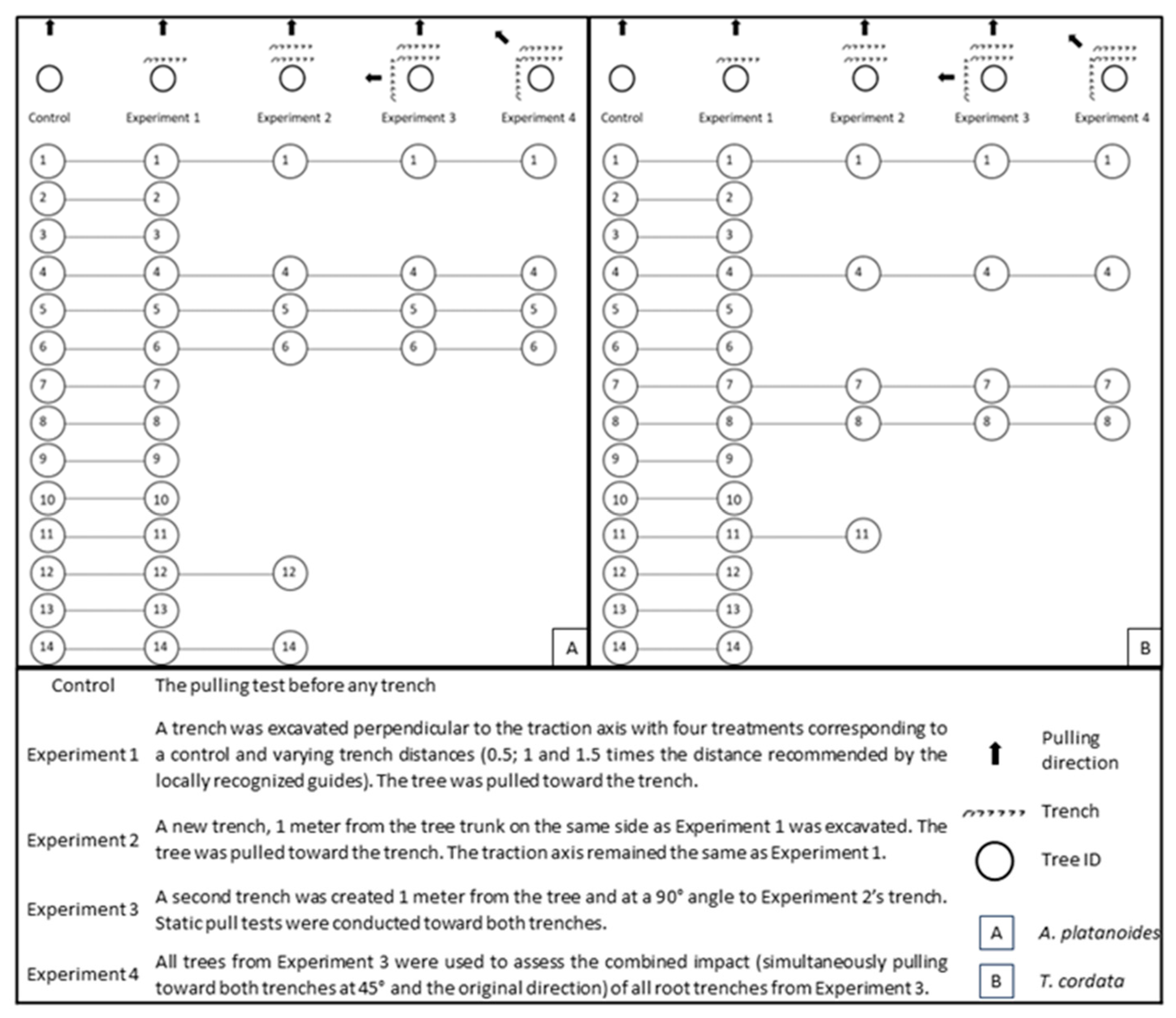 Forests 15 01041 g003