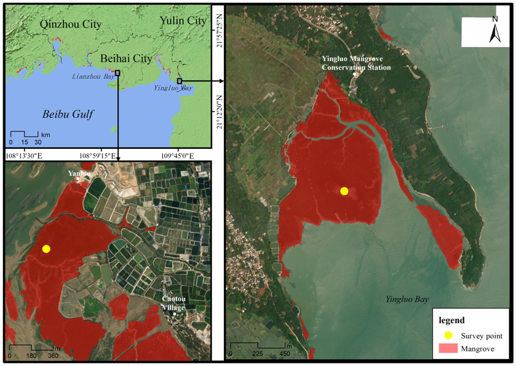 Forests 15 01048 g001