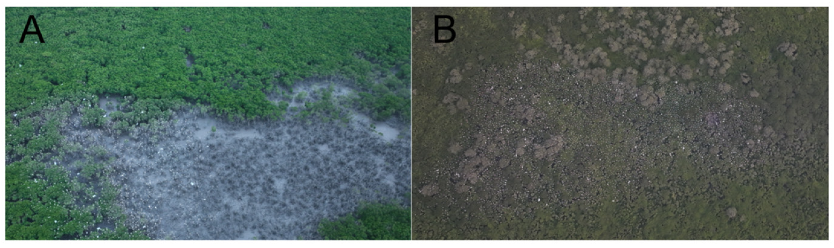 Forests 15 01048 g002