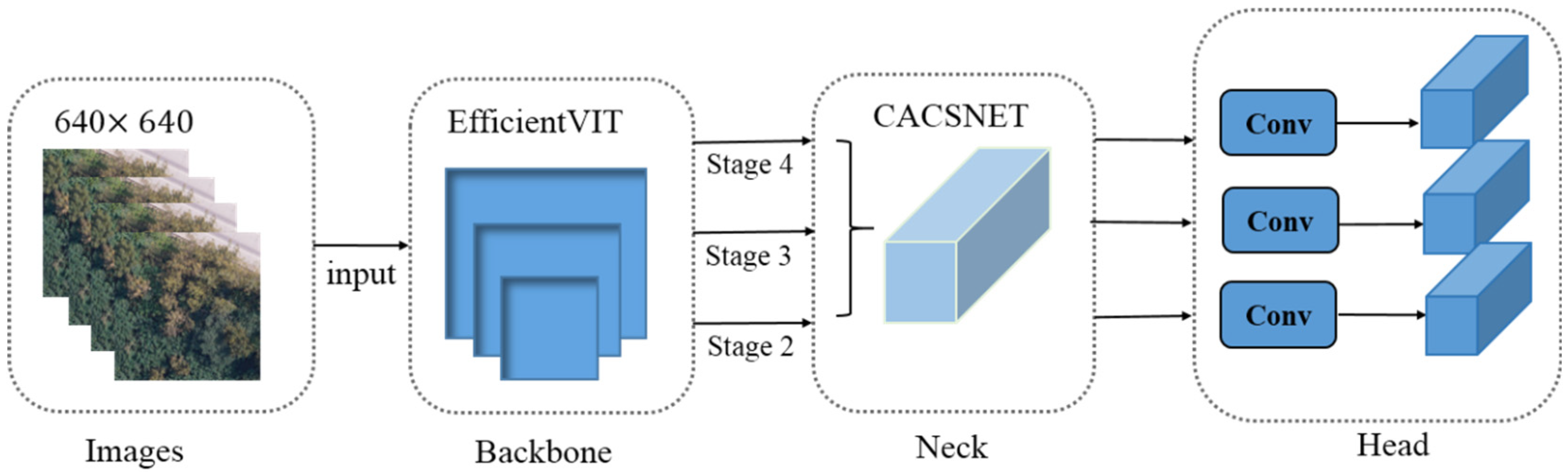 Forests 15 01050 g002