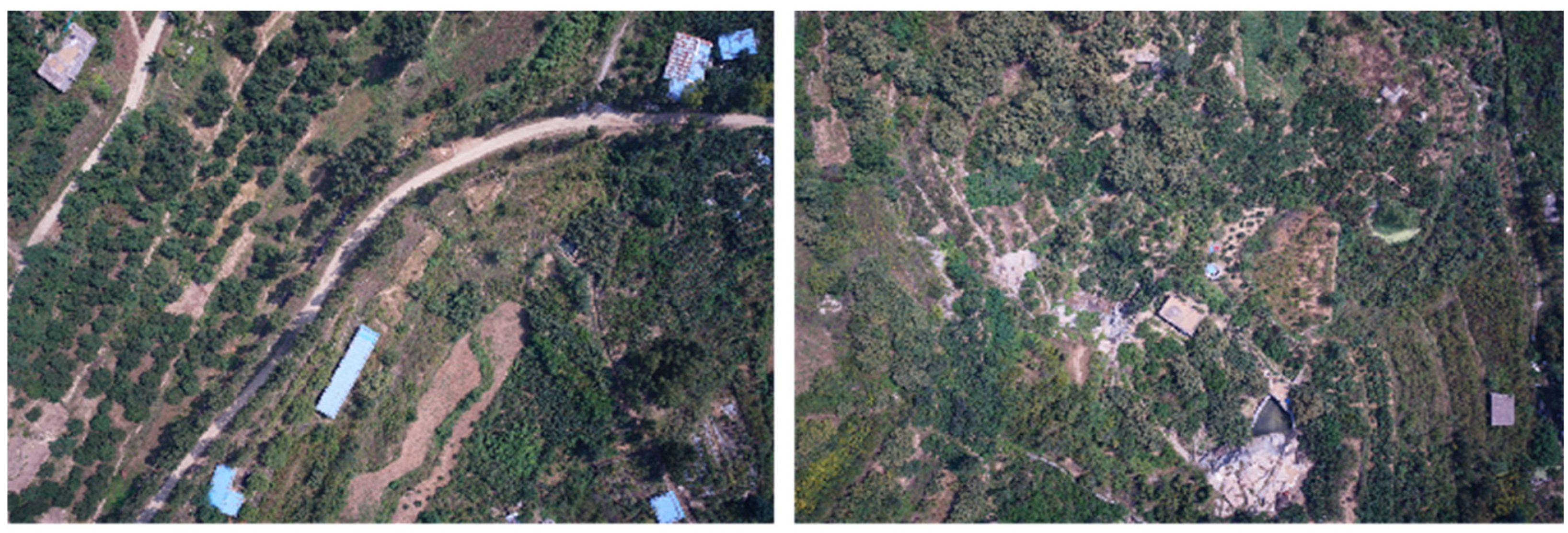 Forests 15 01050 g007