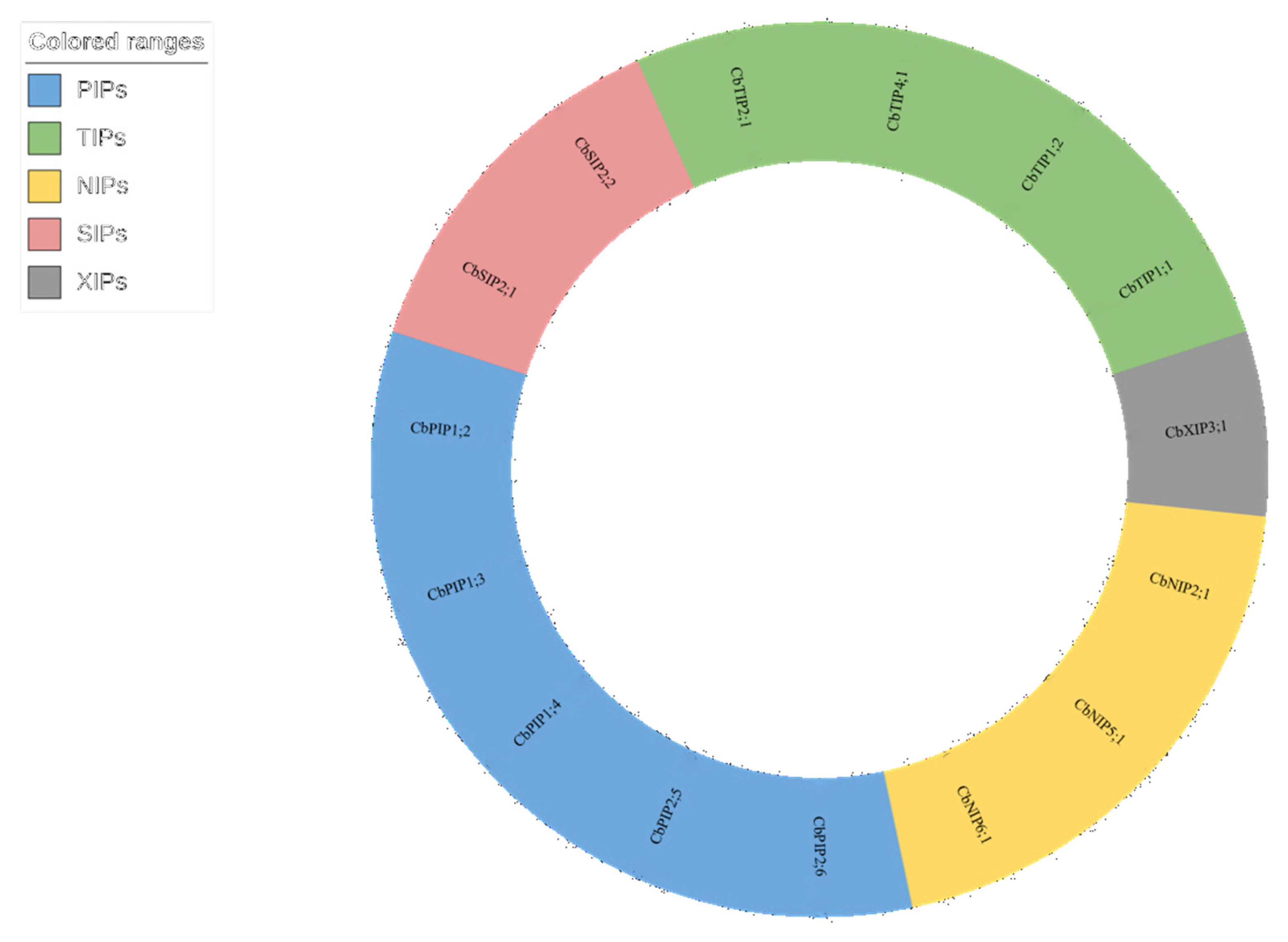 Forests 15 01063 g002