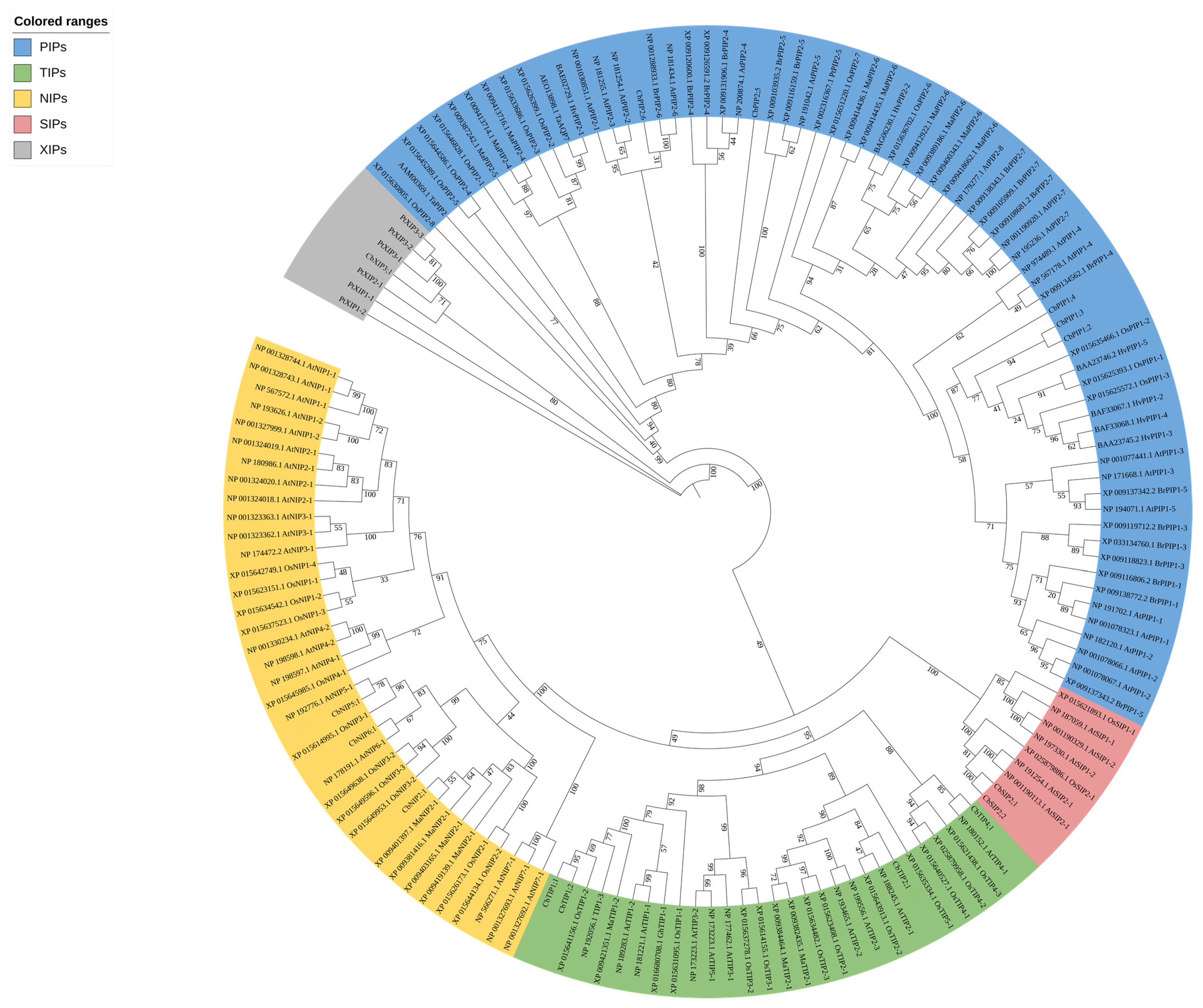 Forests 15 01063 g003