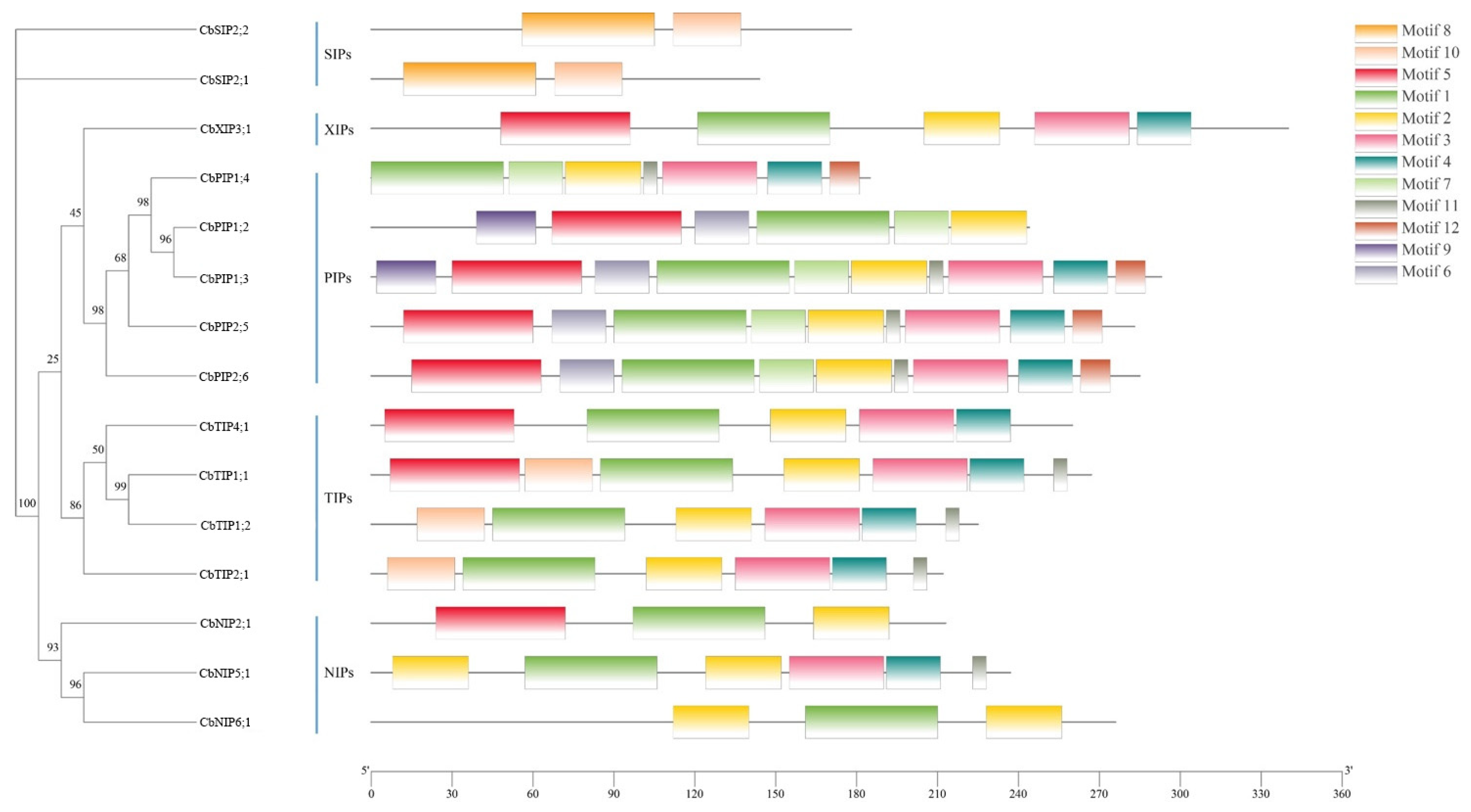 Forests 15 01063 g004