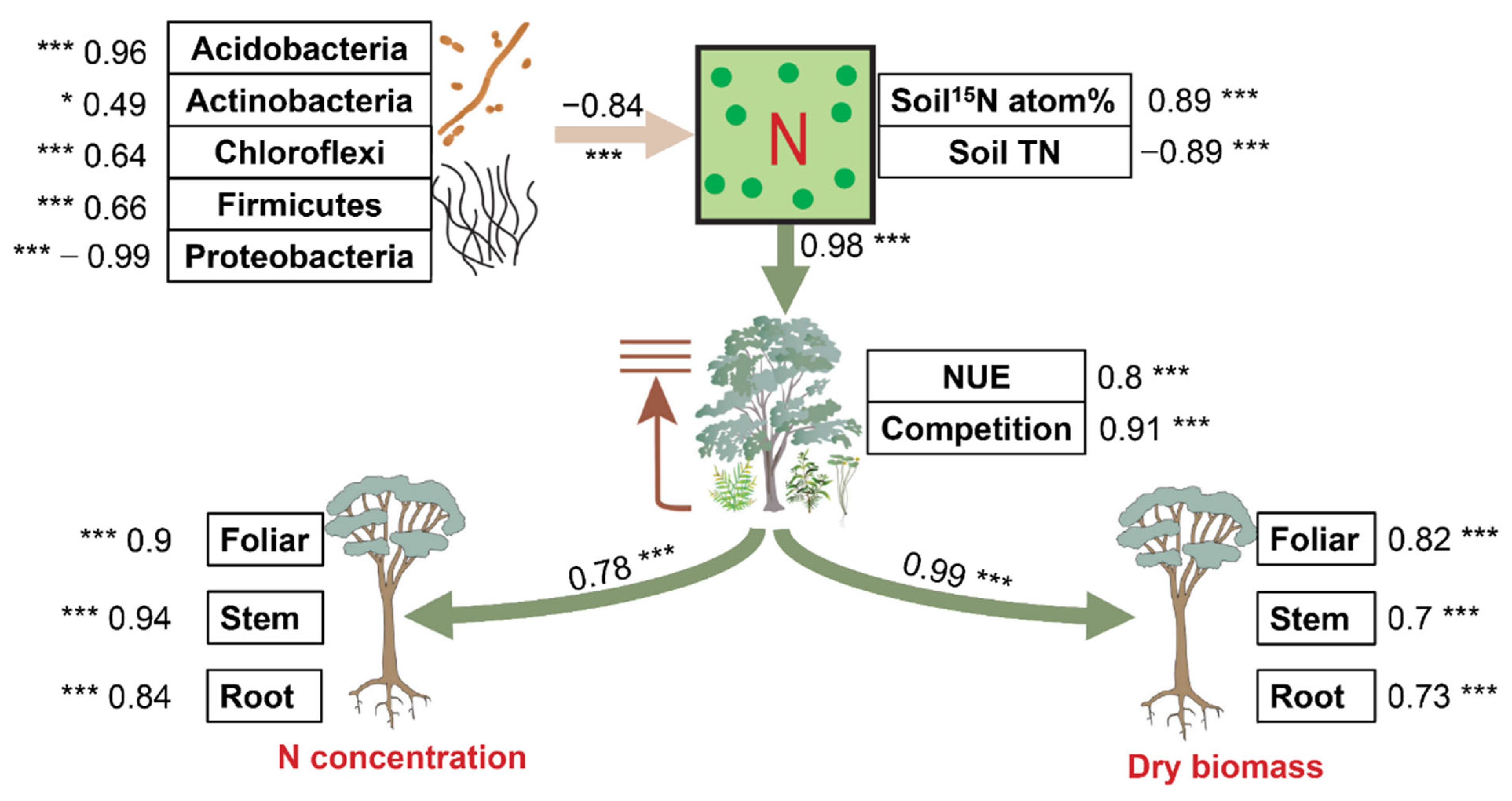 Forests 15 01091 g005