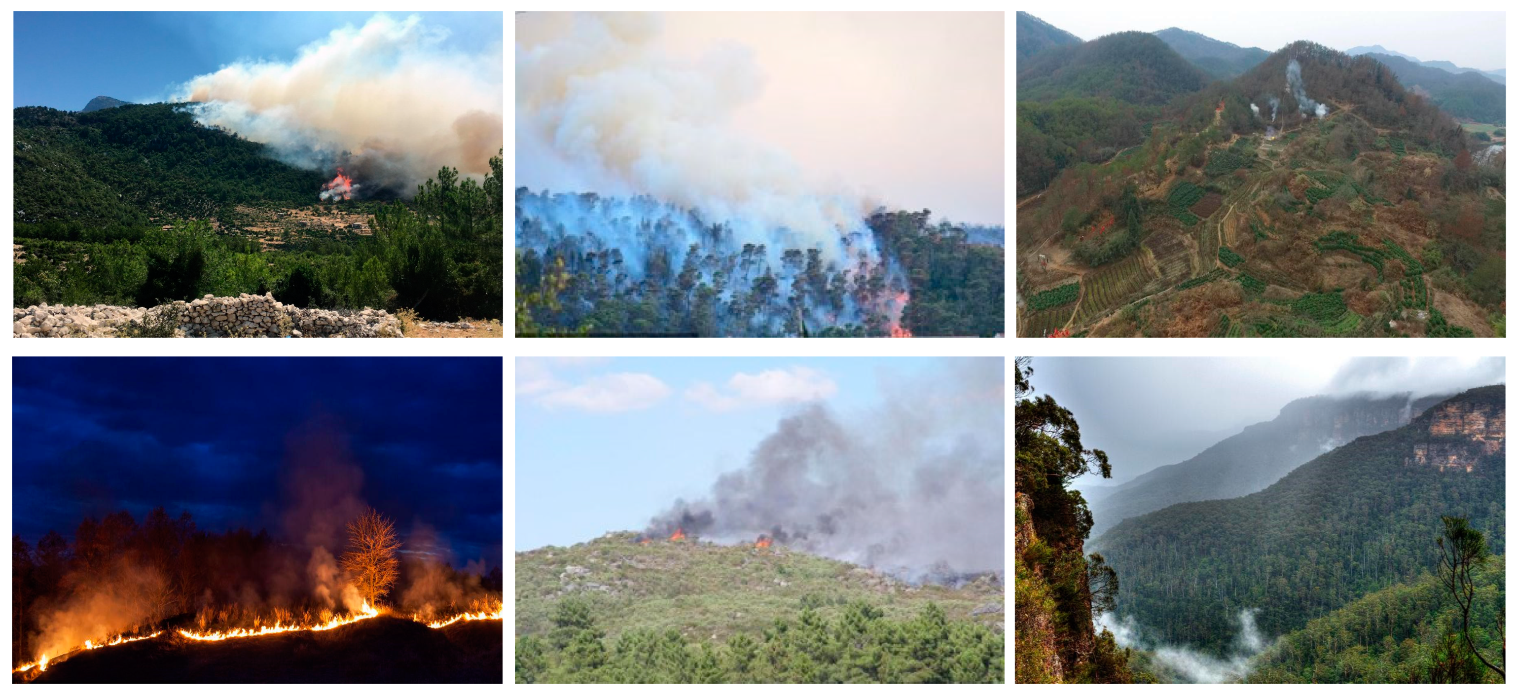 Forests 15 01092 g001