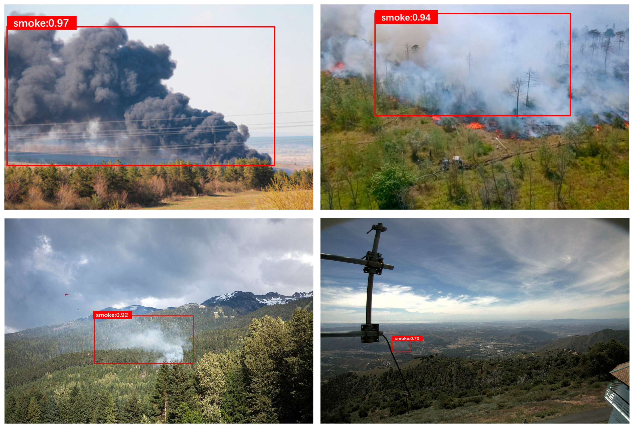 Forests 15 01092 g013