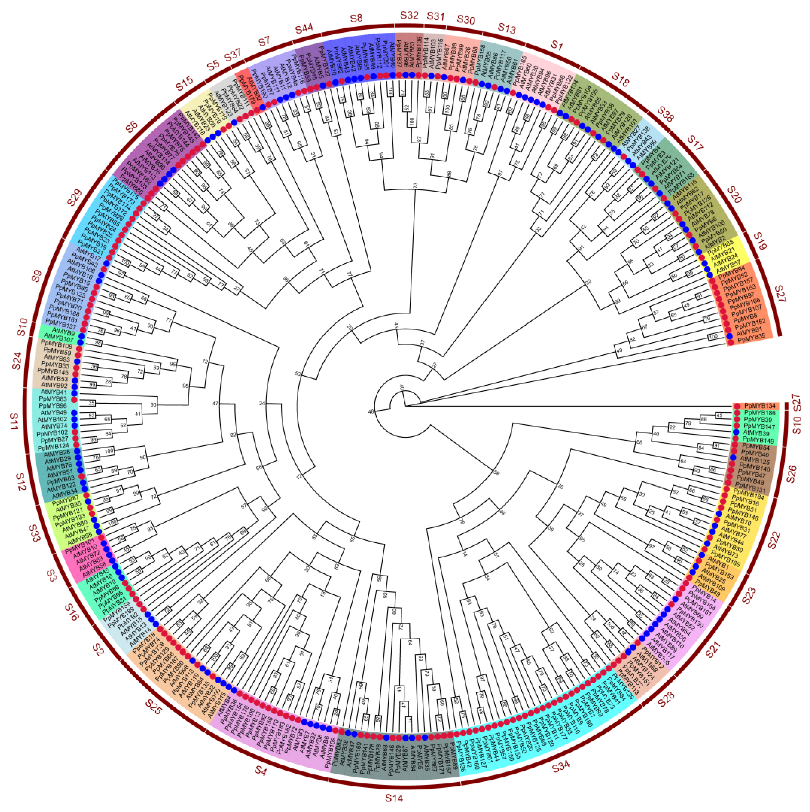 Forests 15 01119 g004