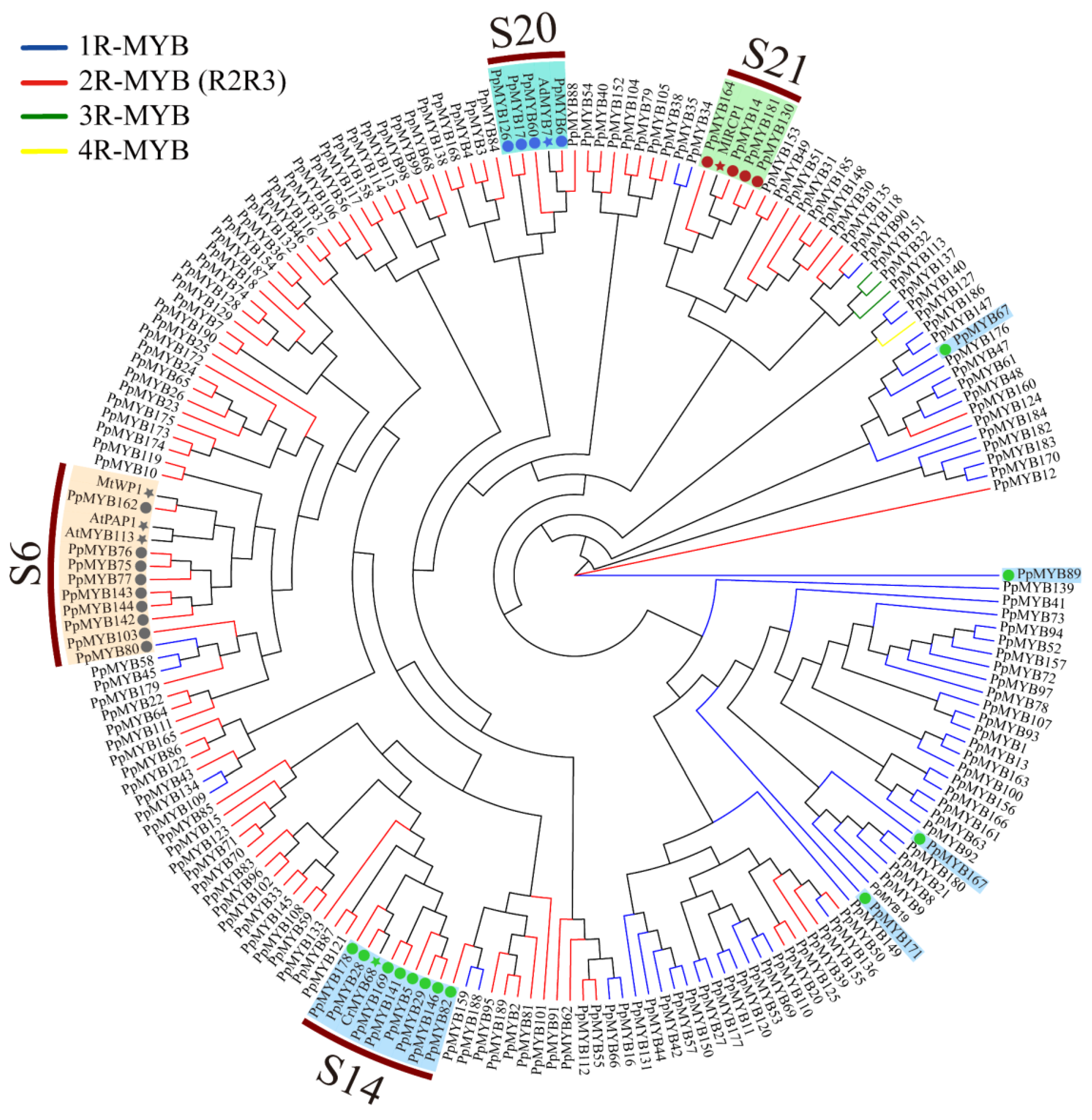 Forests 15 01119 g007
