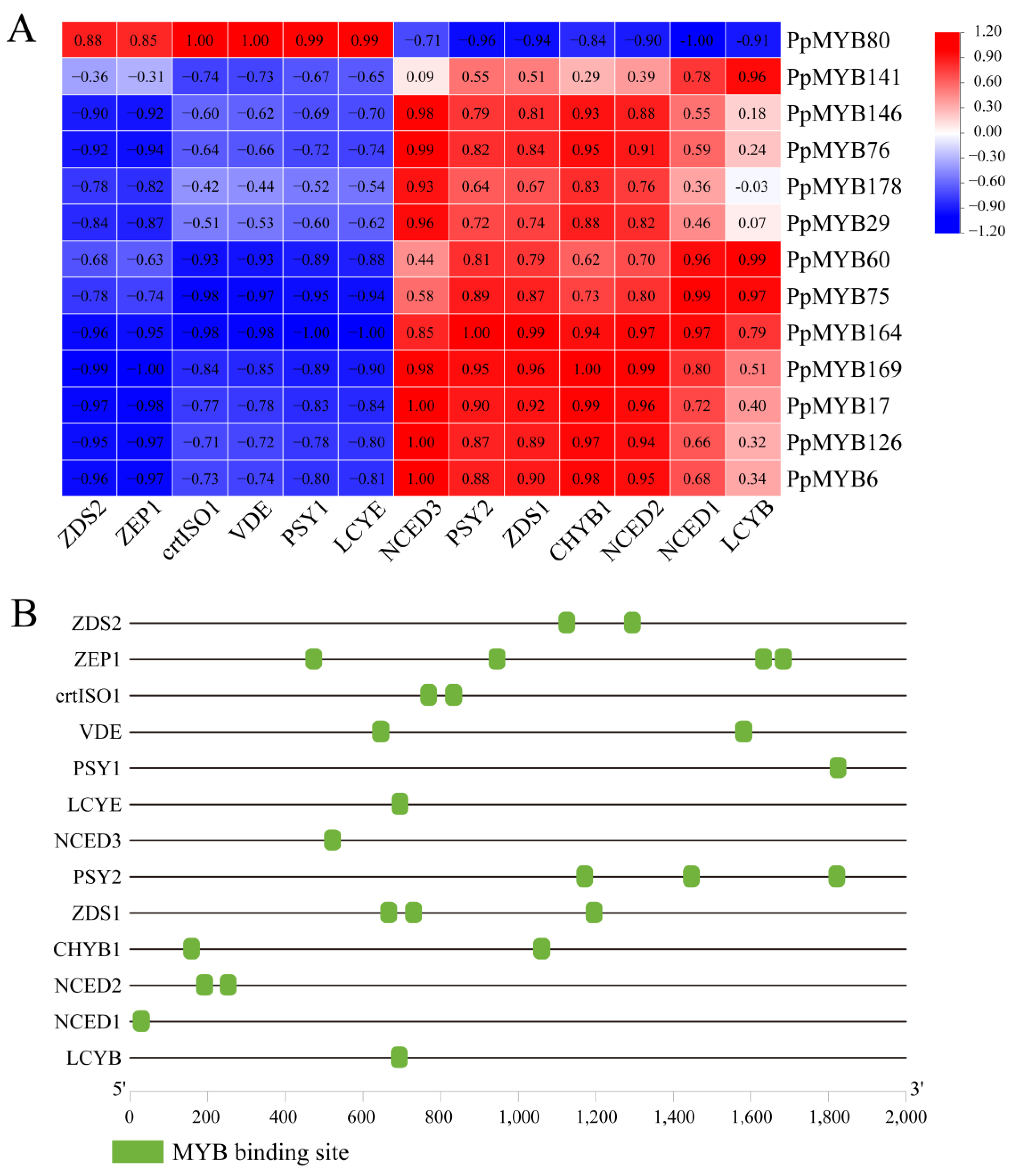 Forests 15 01119 g009