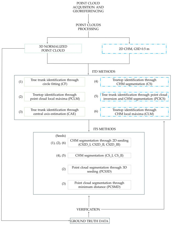 Forests 15 01133 g005