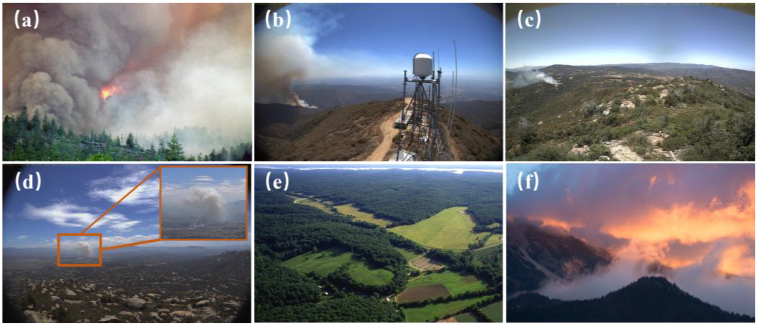 Forests 15 01137 g001