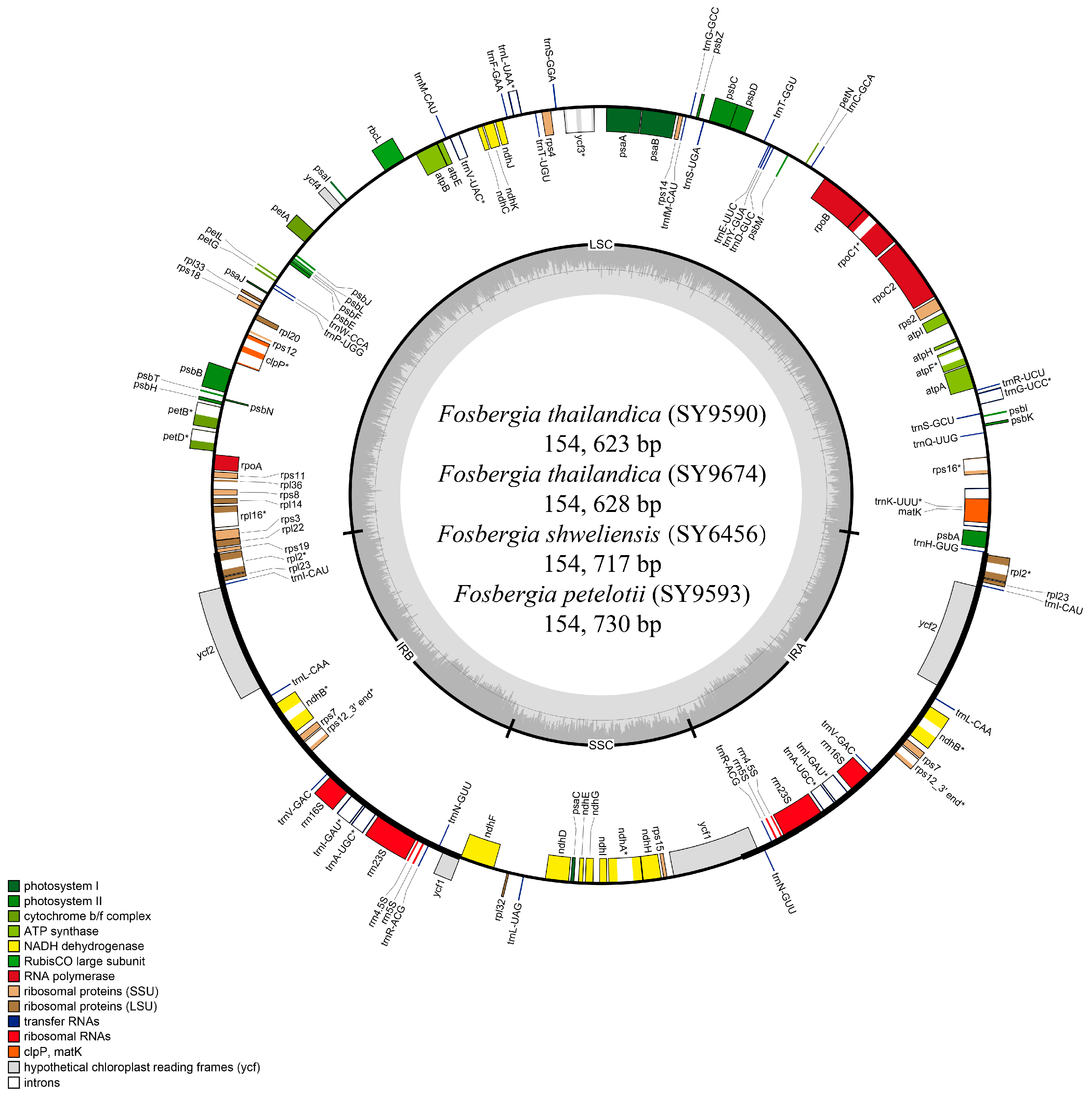 Forests 15 01150 g001