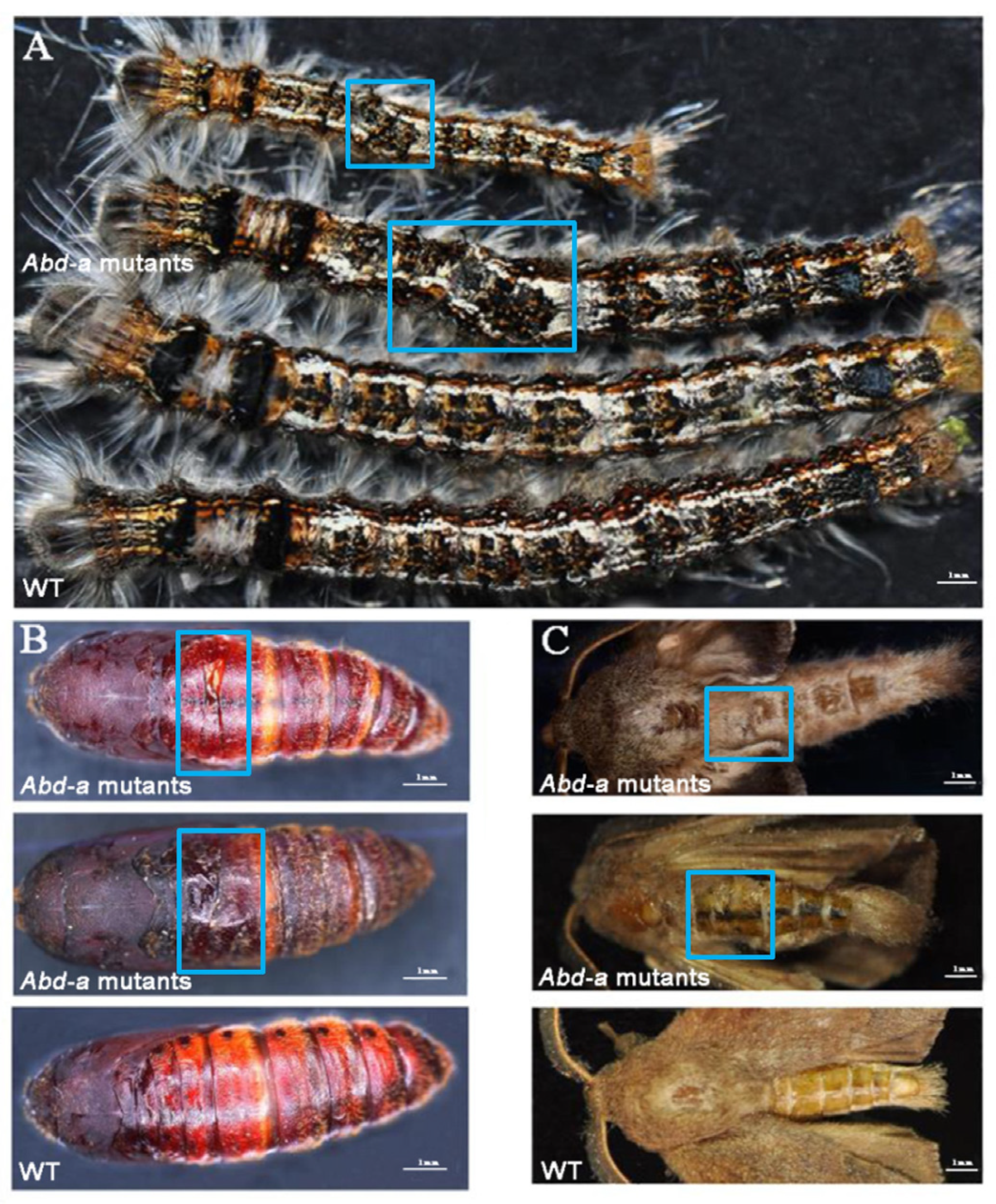Forests 15 01157 g006