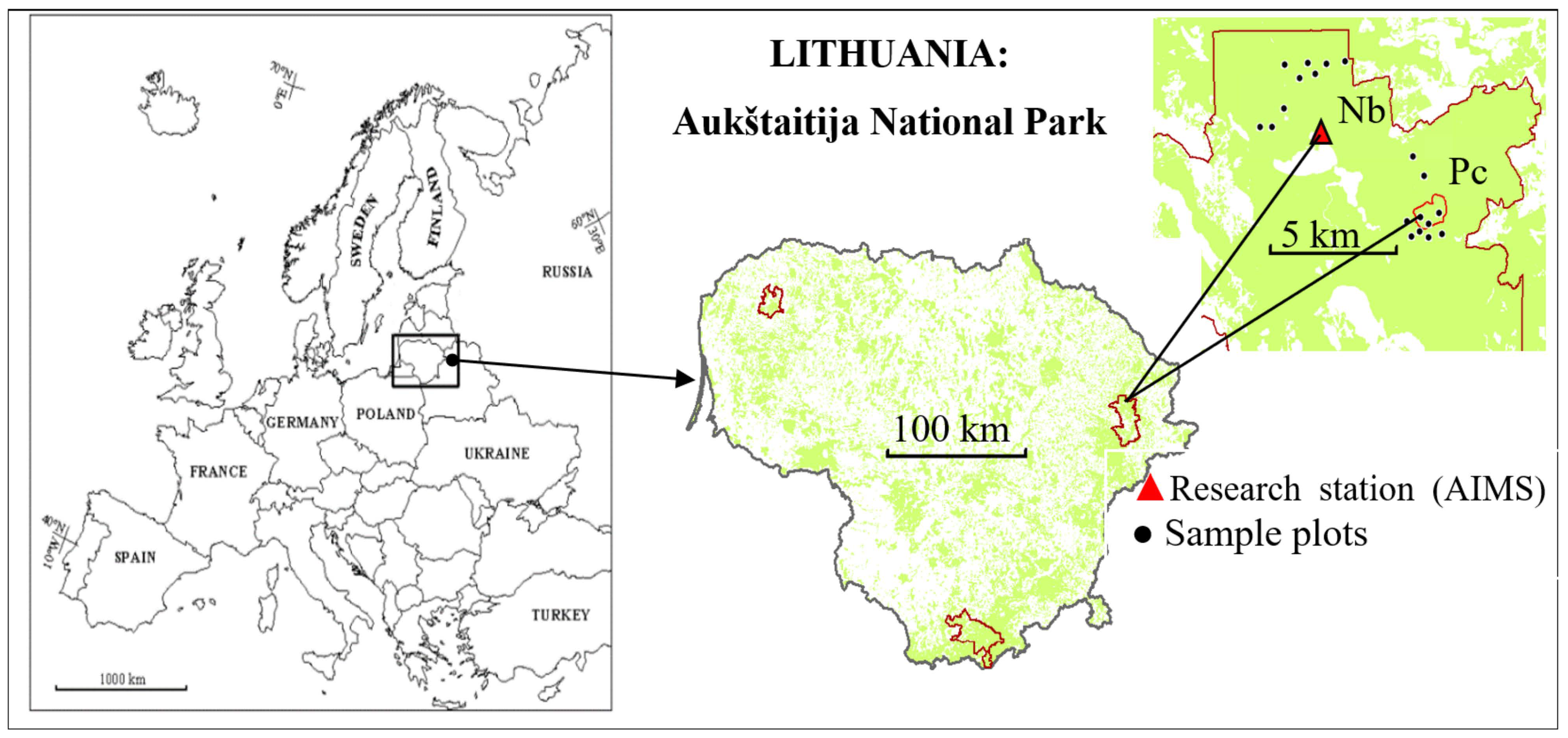 Forests 15 01158 g001