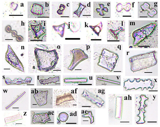 Forests 15 01163 g003