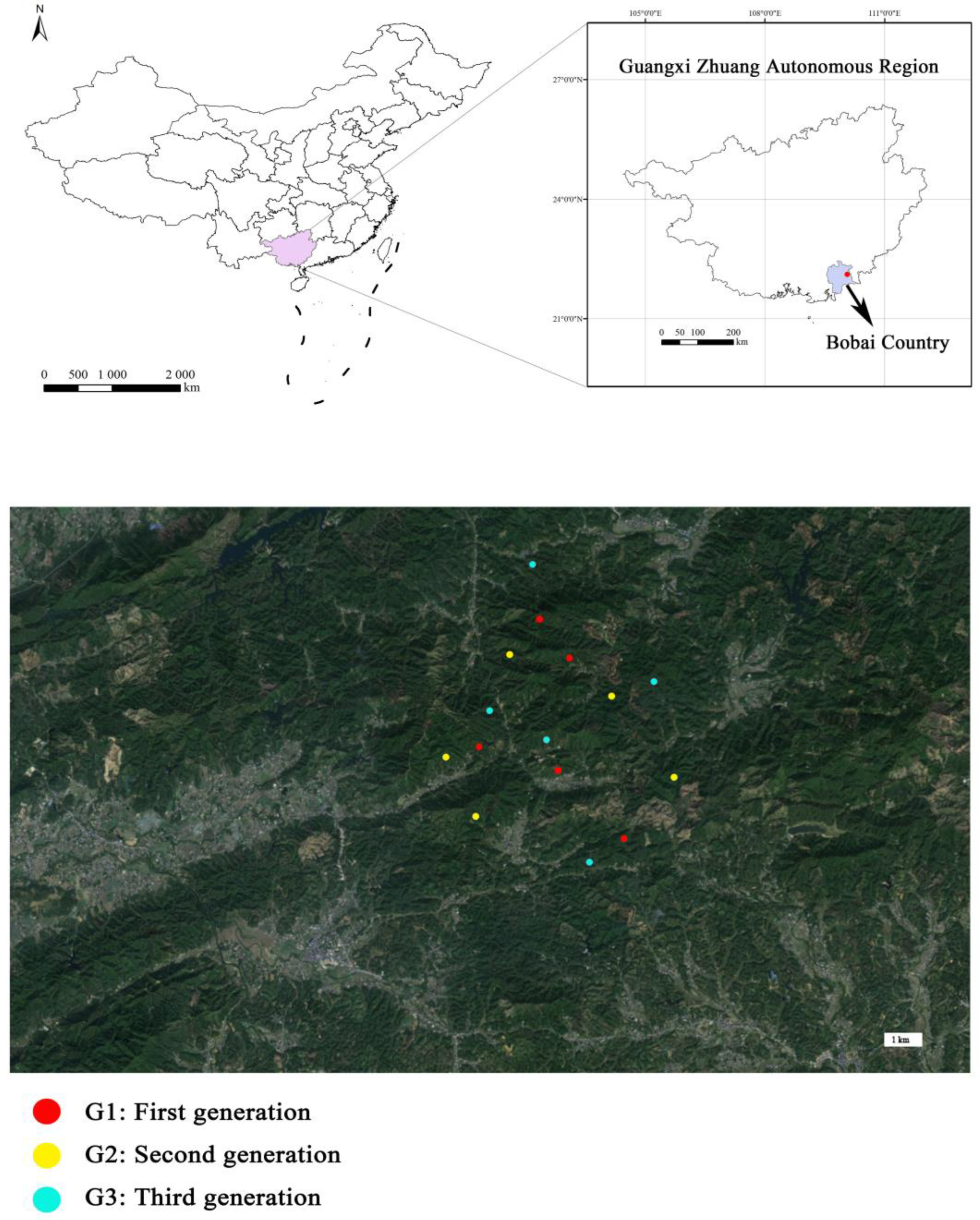 Forests 15 01166 g001 Forests 15 01166 g001