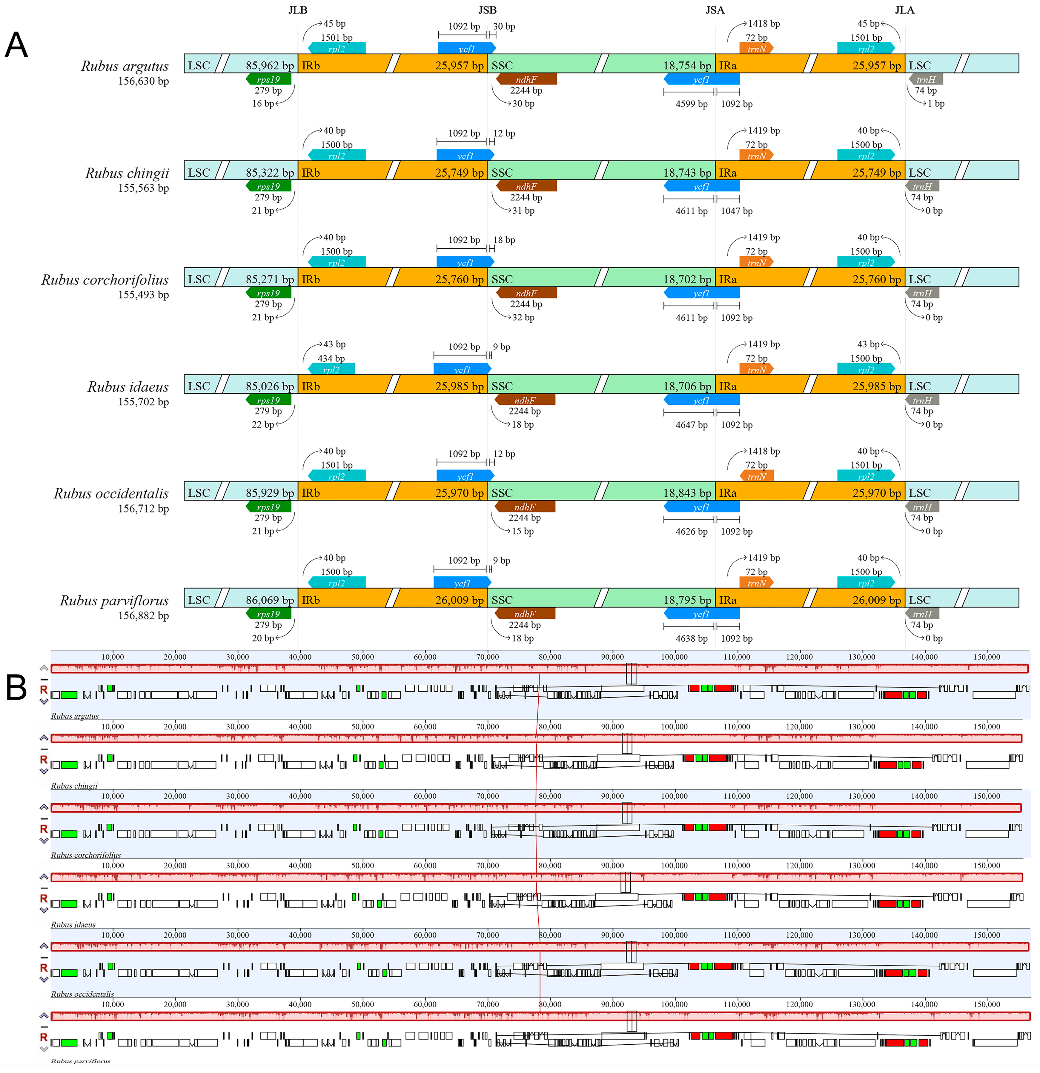 Forests 15 01167 g002