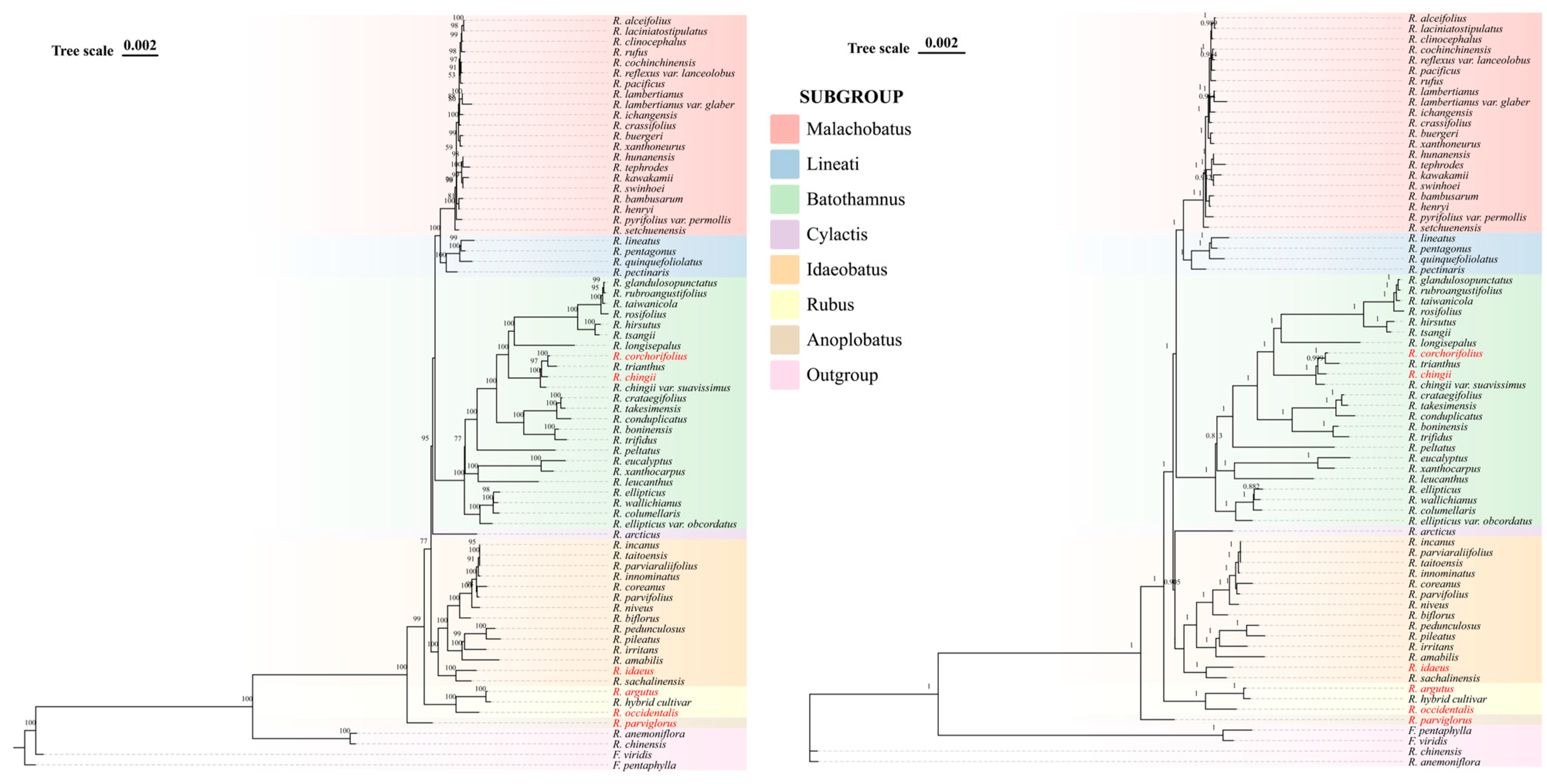 Forests 15 01167 g008