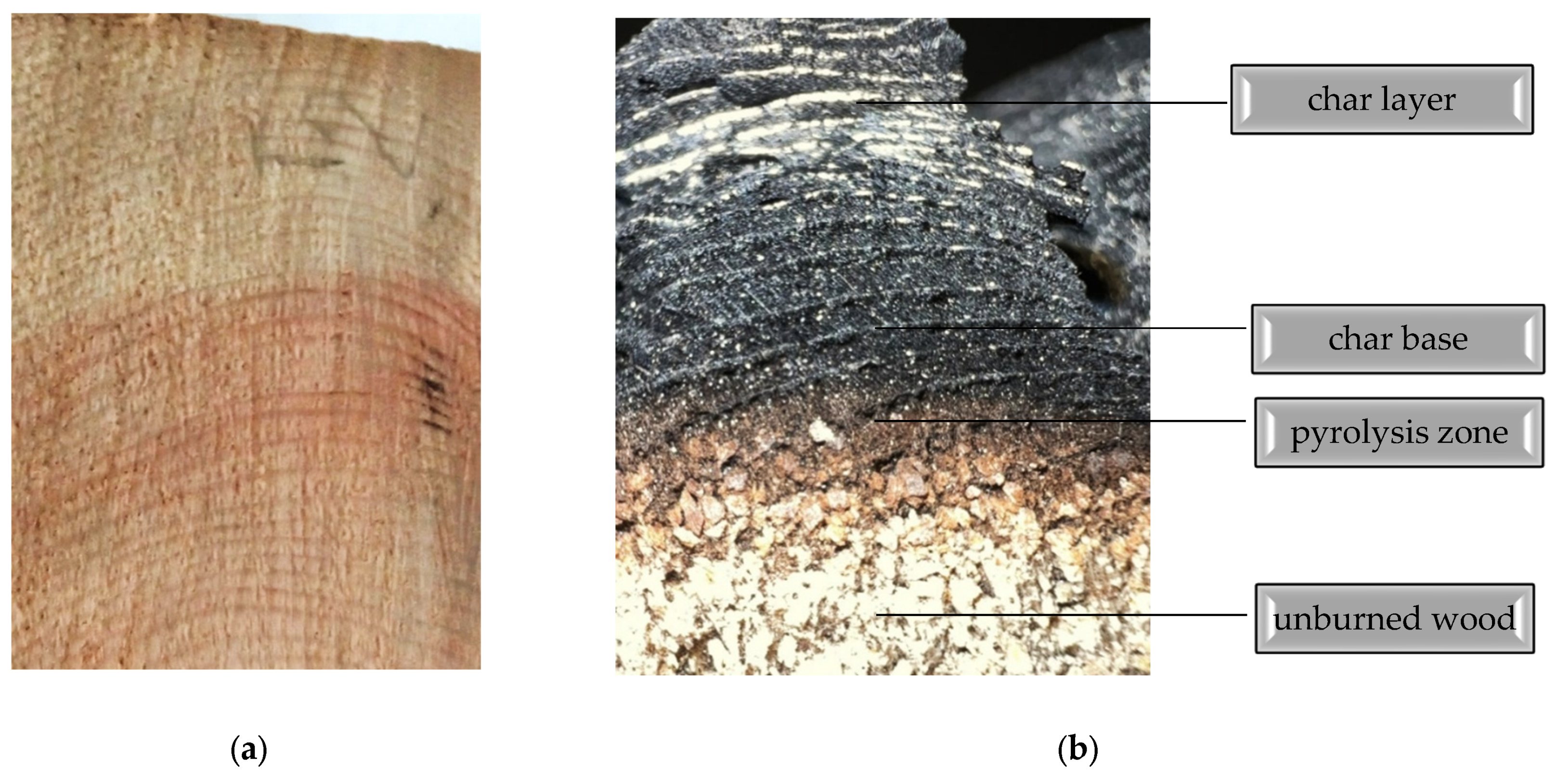 Forests 15 01189 g007