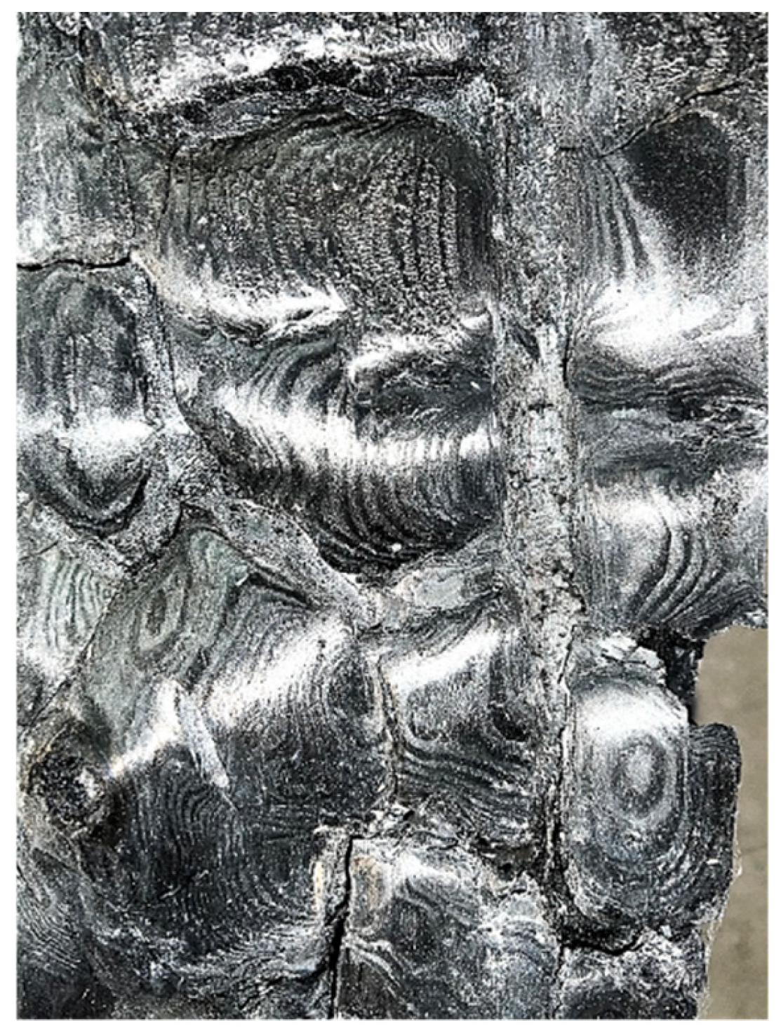 Forests 15 01189 g008