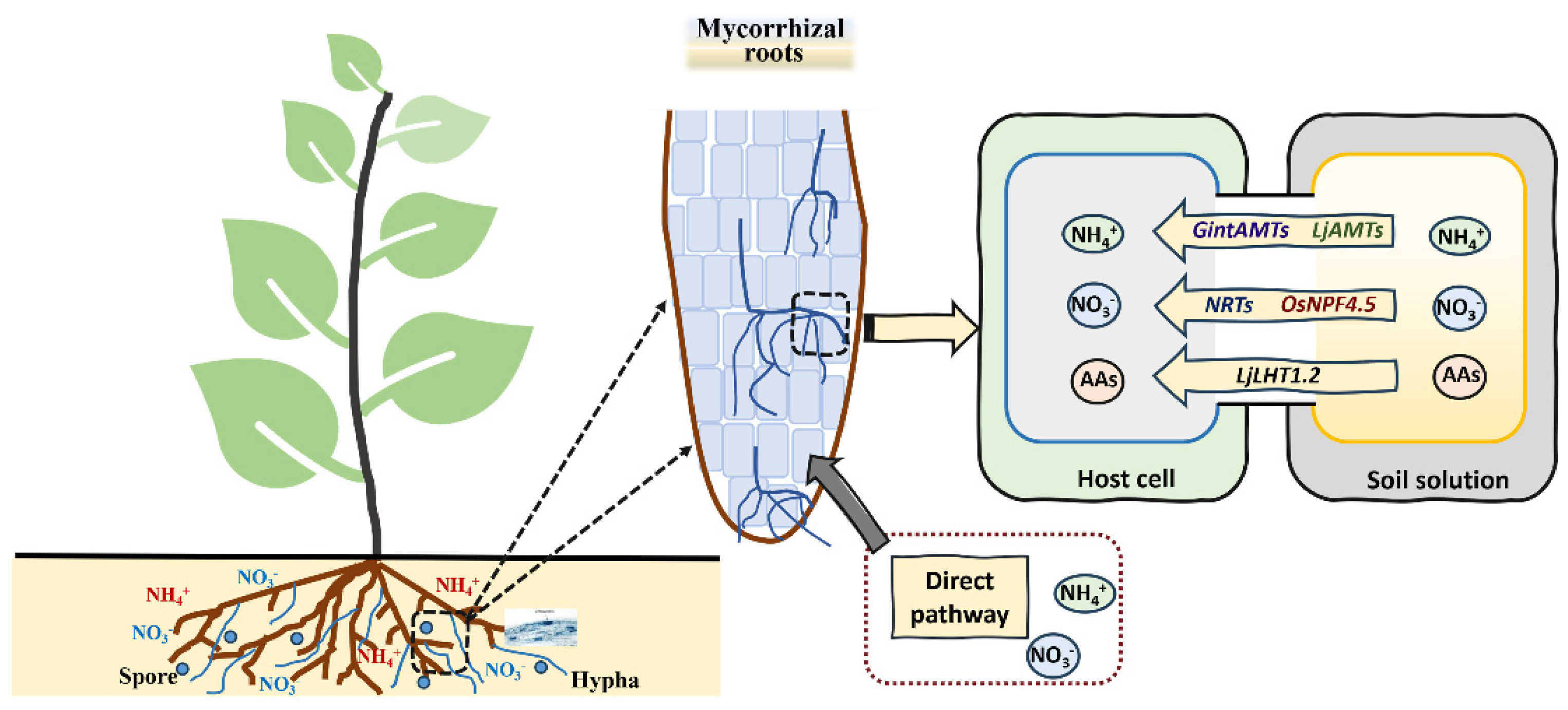 Forests 15 01191 g005
