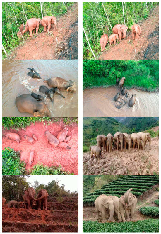 Forests 15 01195 g0a1b