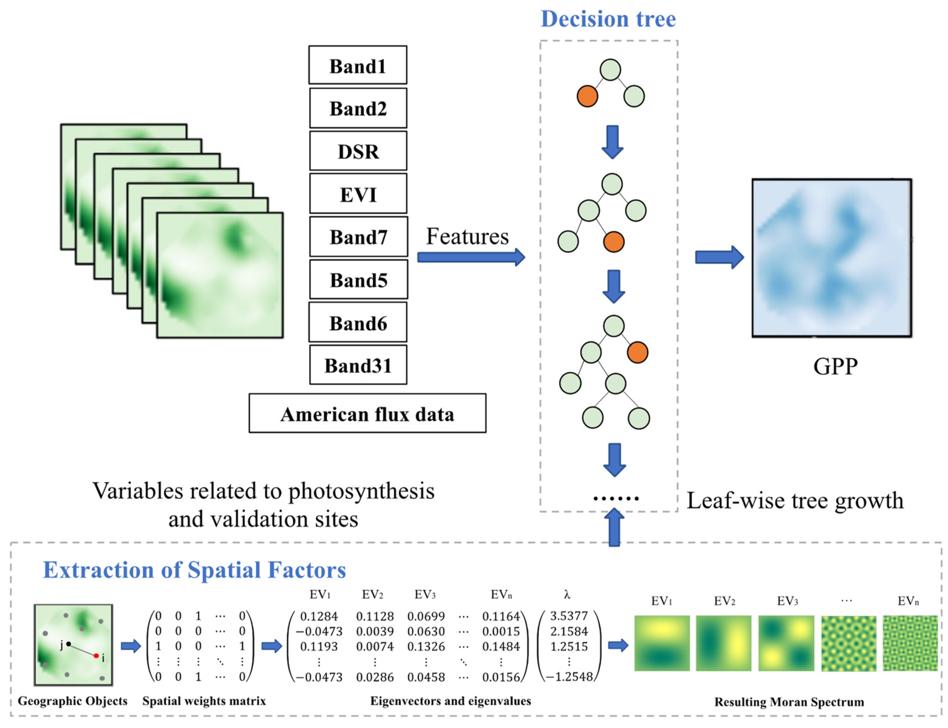 Forests 15 01198 g004
