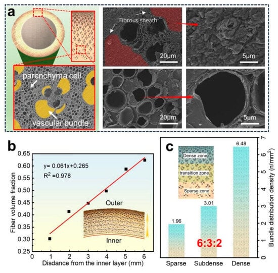 Forests 15 01205 g006