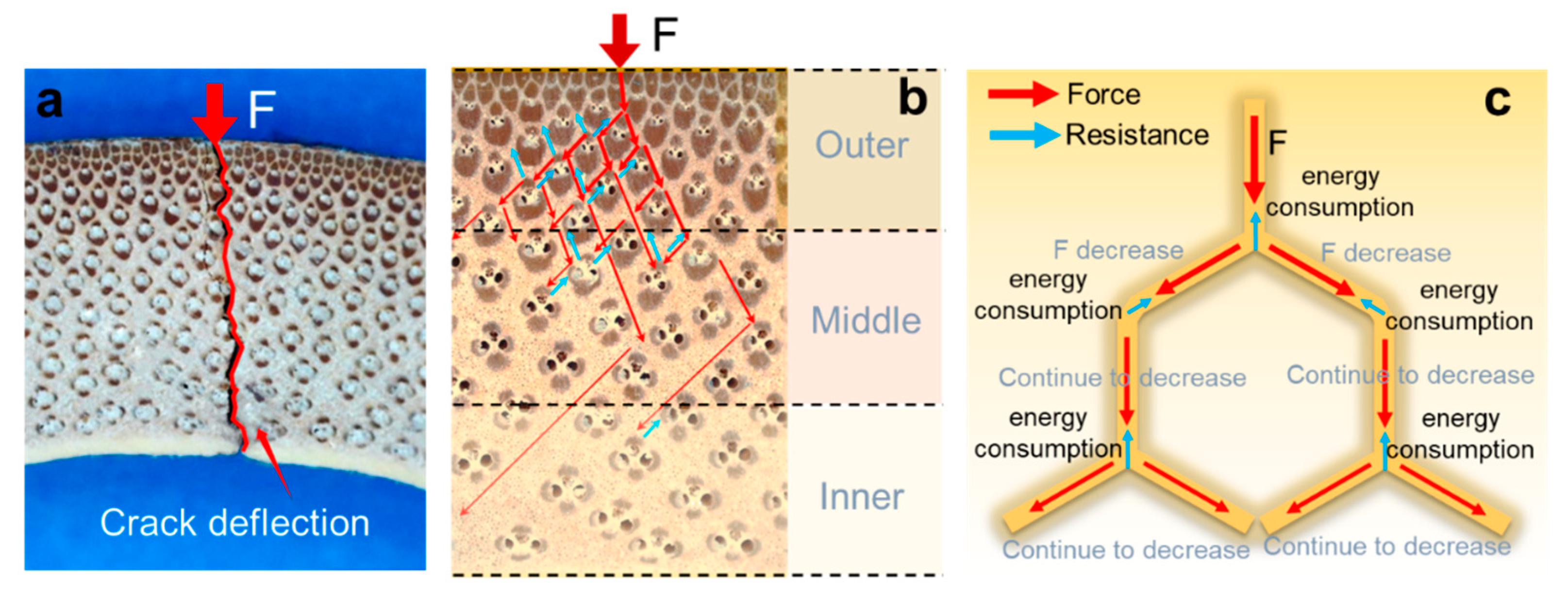 Forests 15 01205 g008