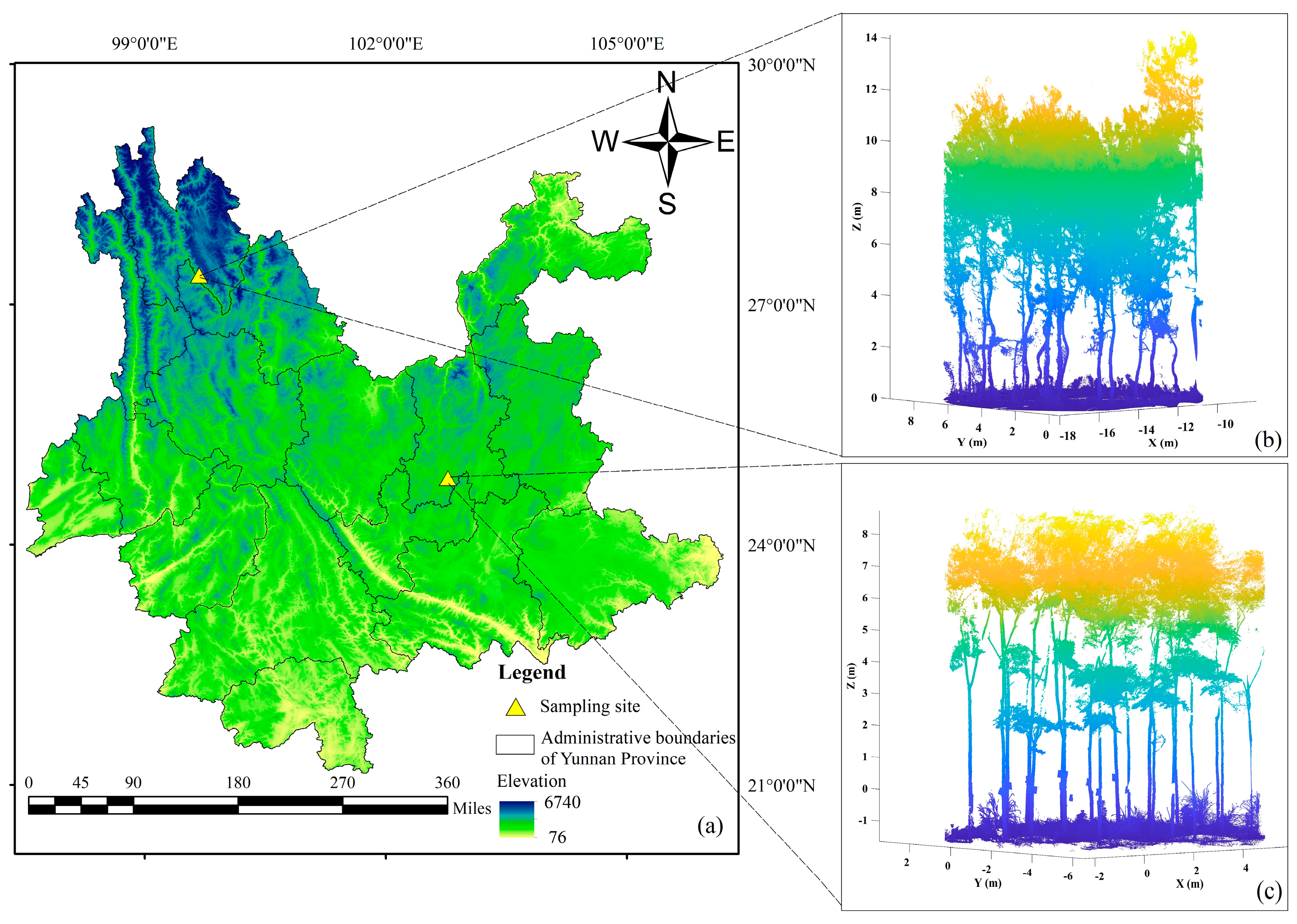 Forests 15 01217 g001