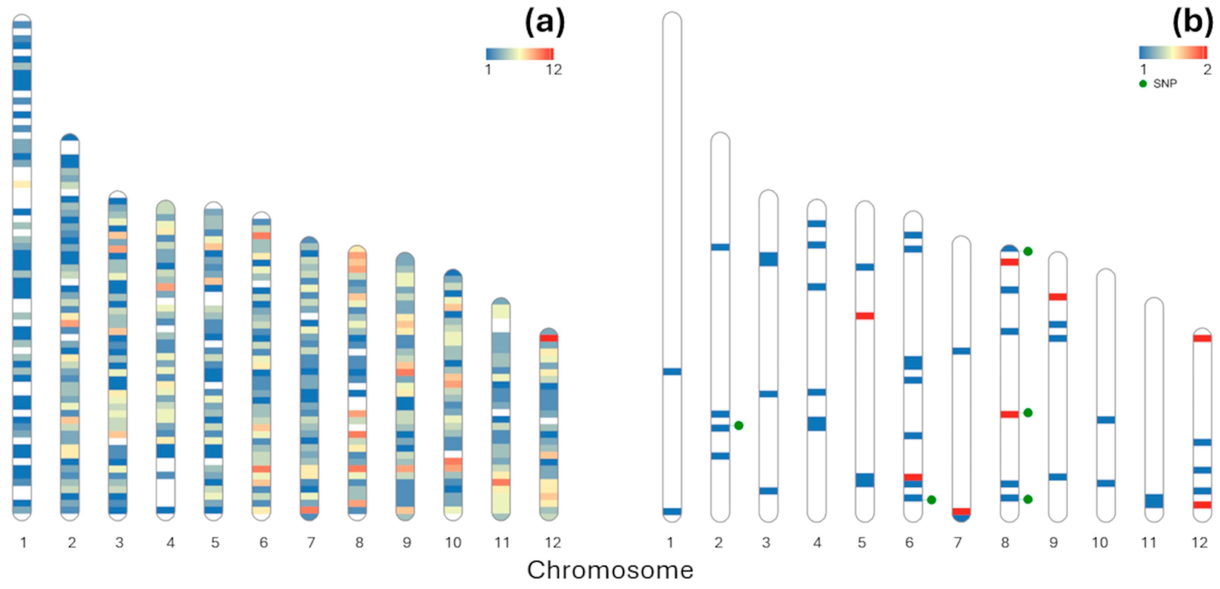 Forests 15 01229 g002