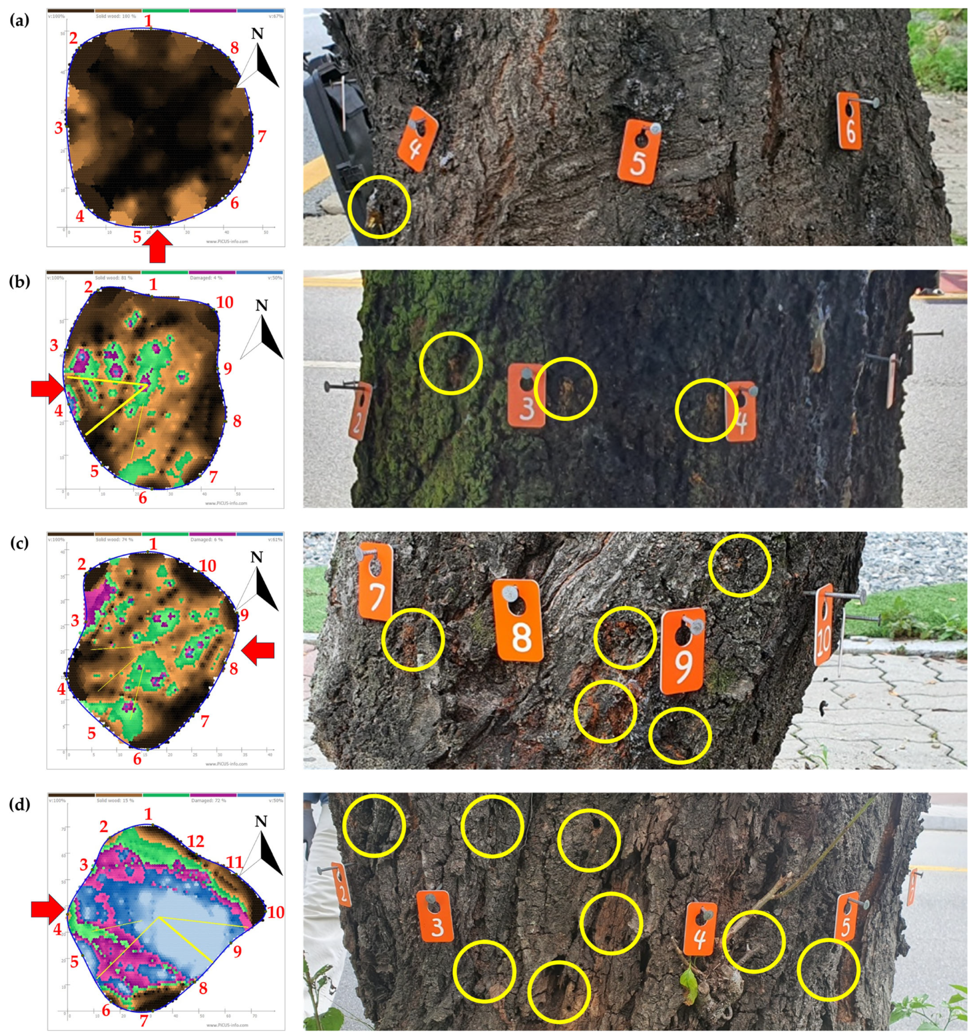 Forests 15 01231 g006