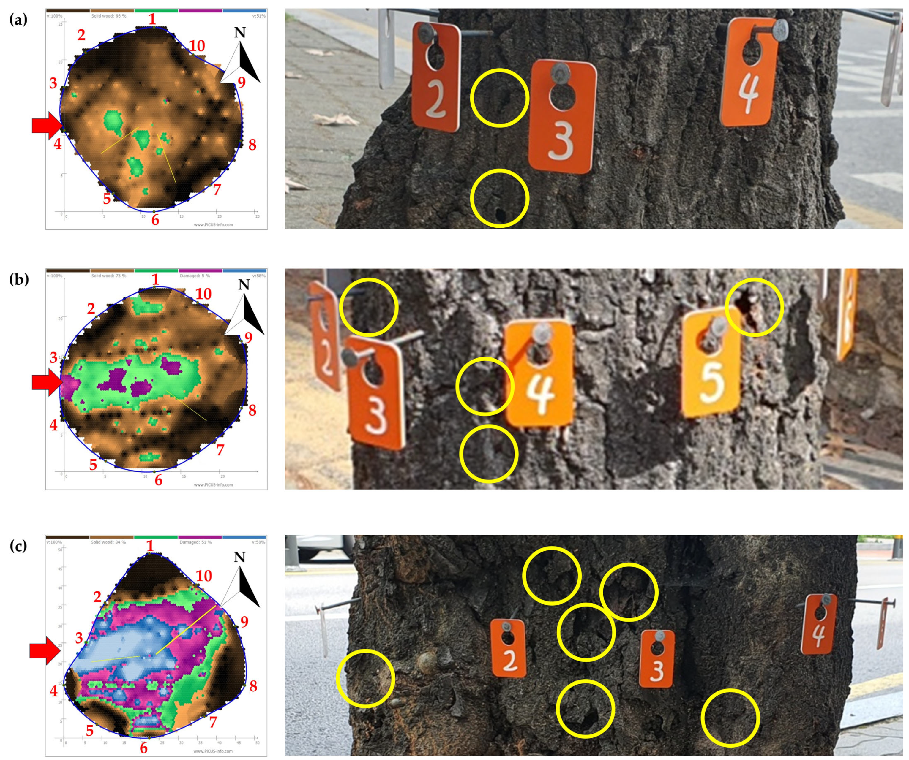 Forests 15 01231 g007