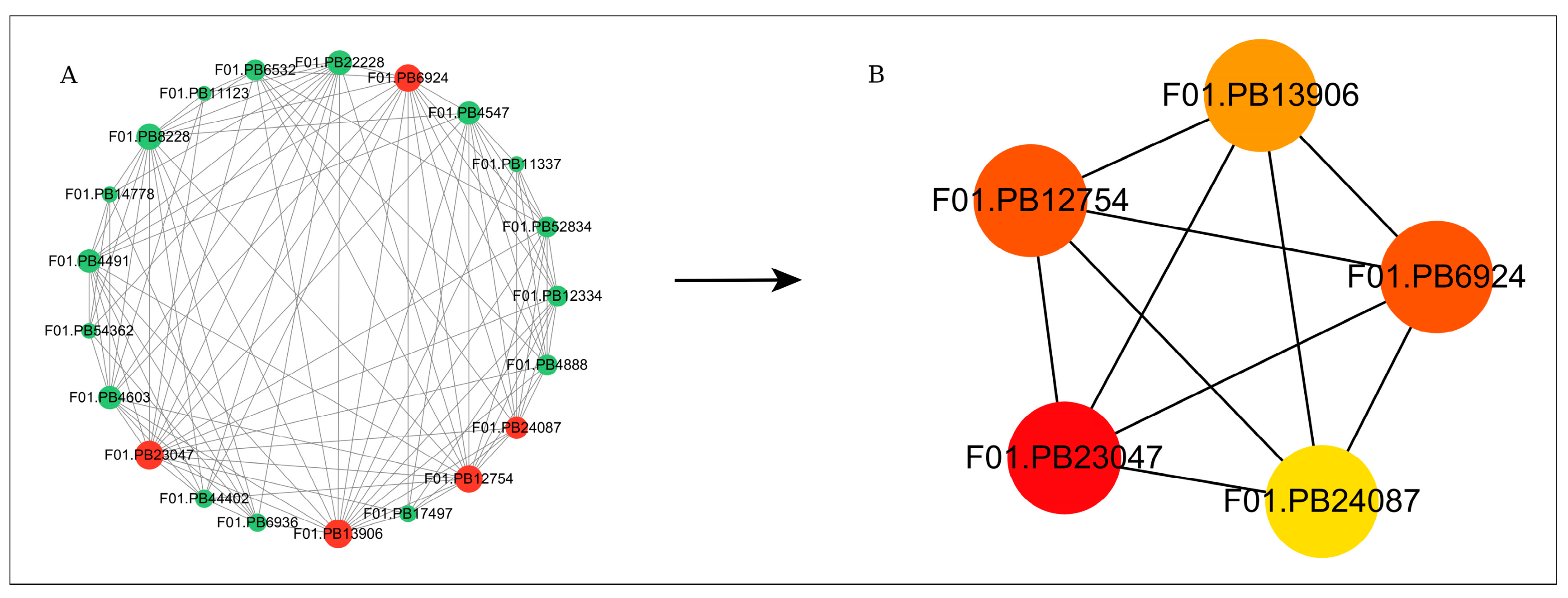 Forests 15 01232 g010
