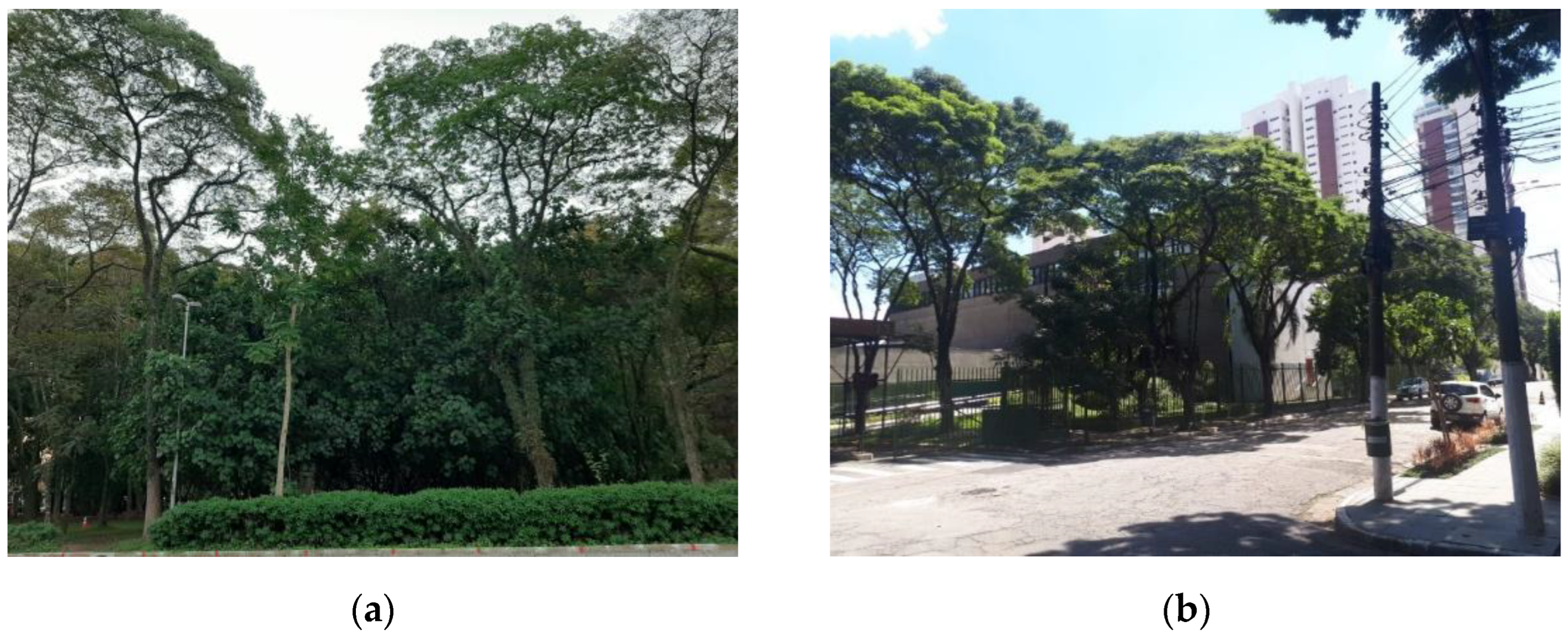 Forests 15 01239 g003