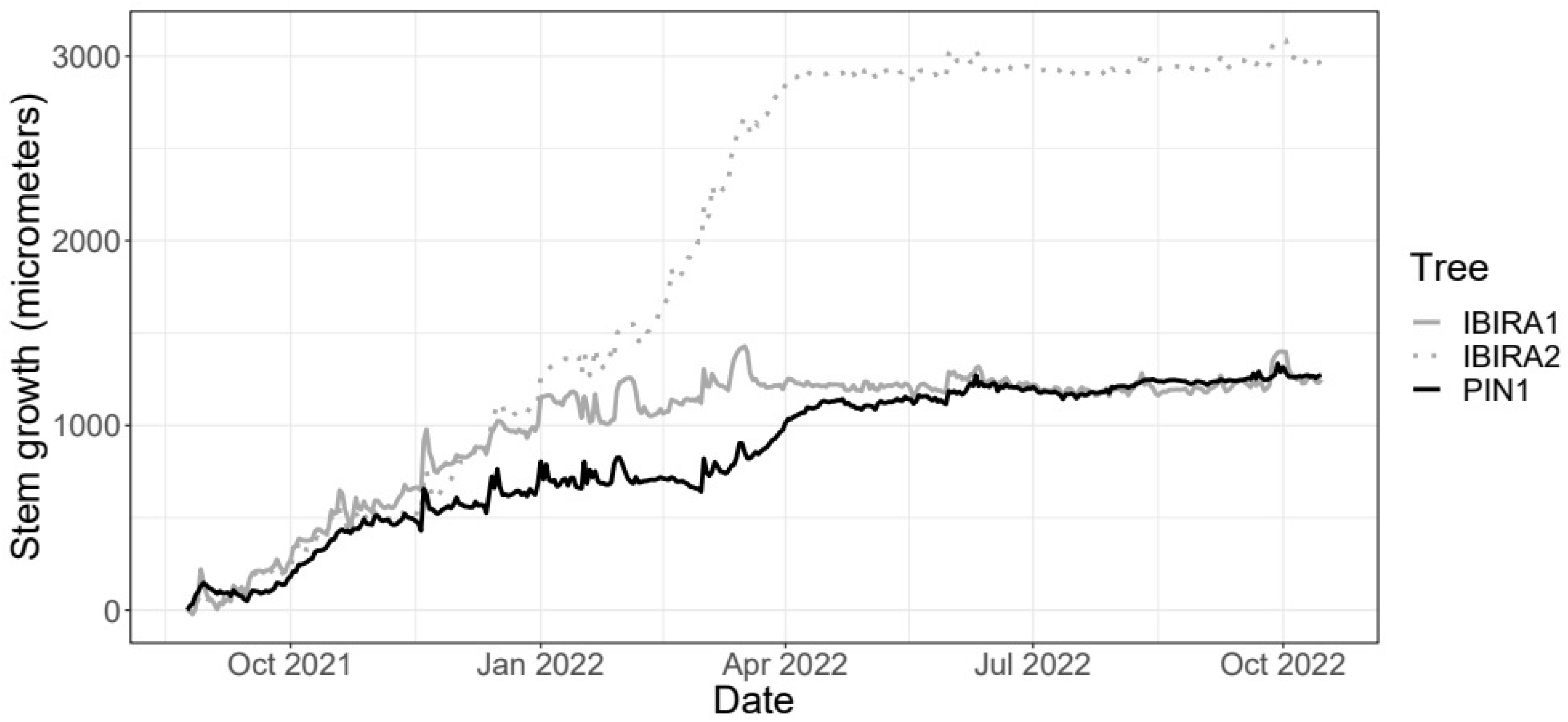 Forests 15 01239 g006