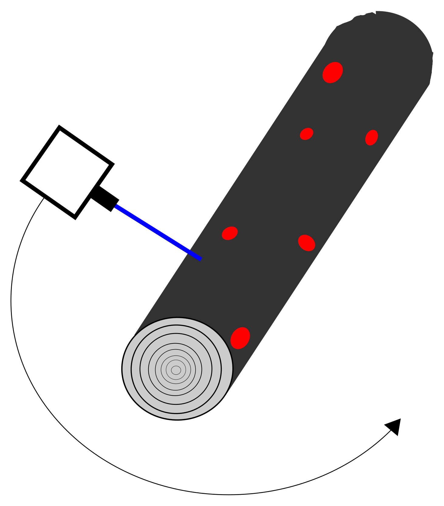 Forests 15 01243 g003
