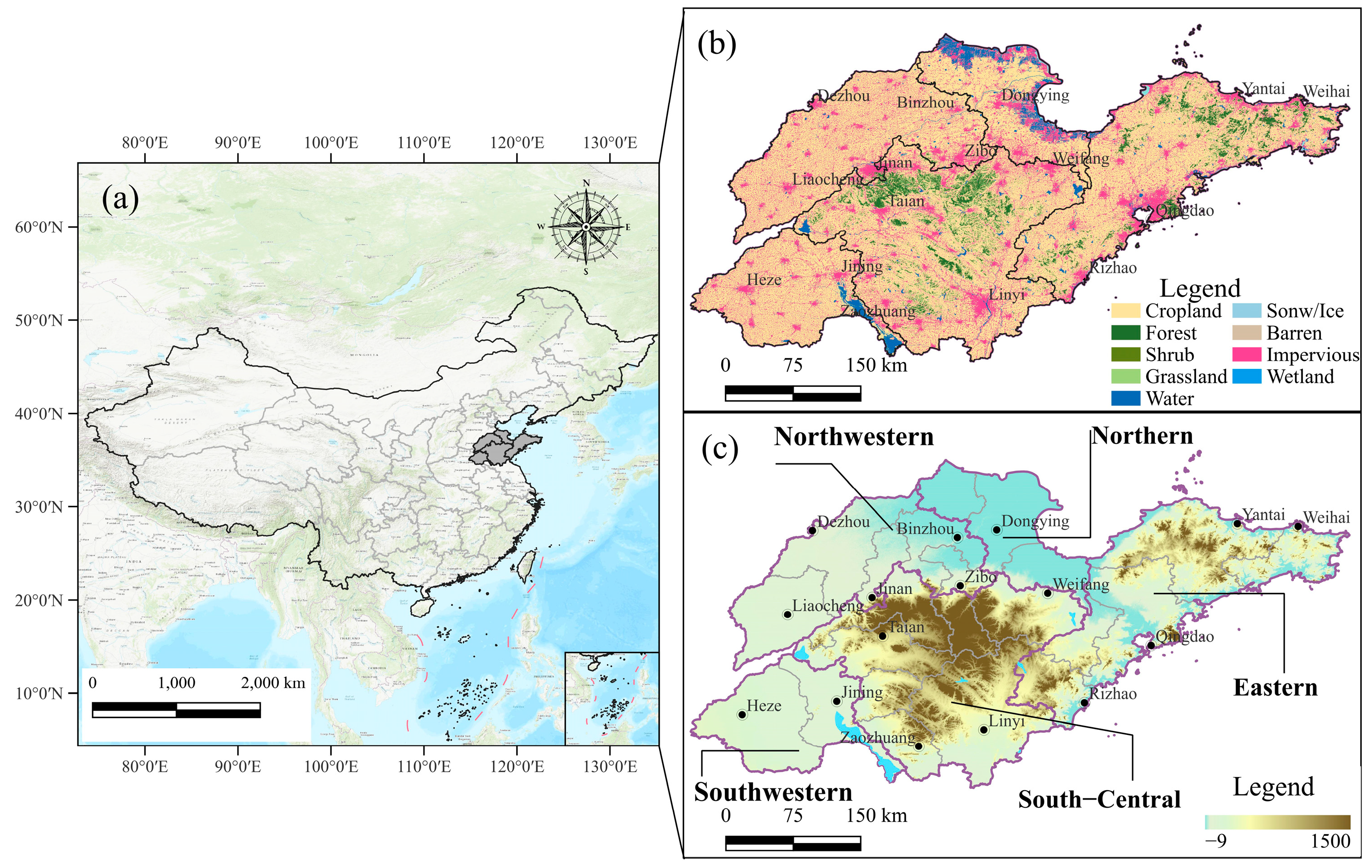Forests 15 01245 g001
