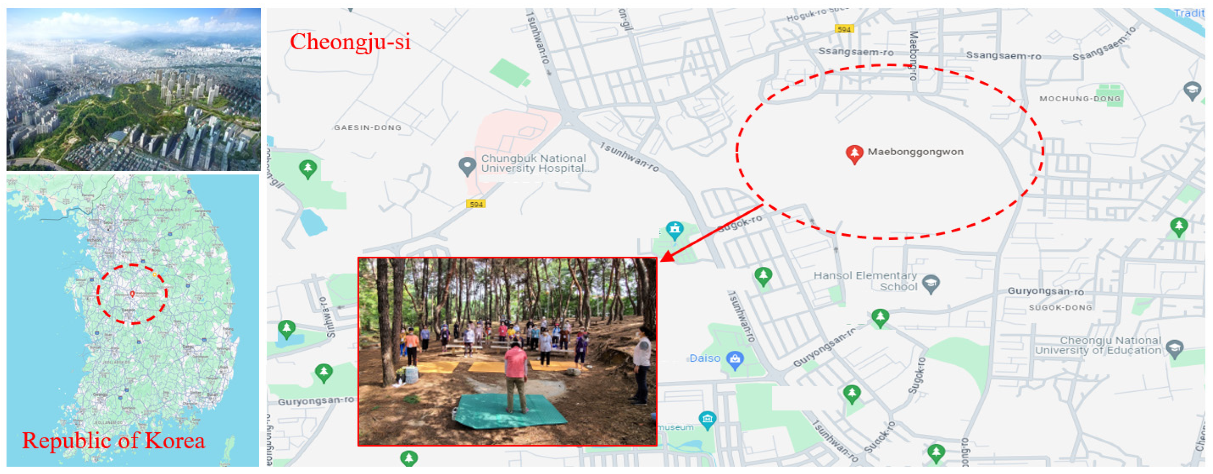 Forests 15 01249 g001