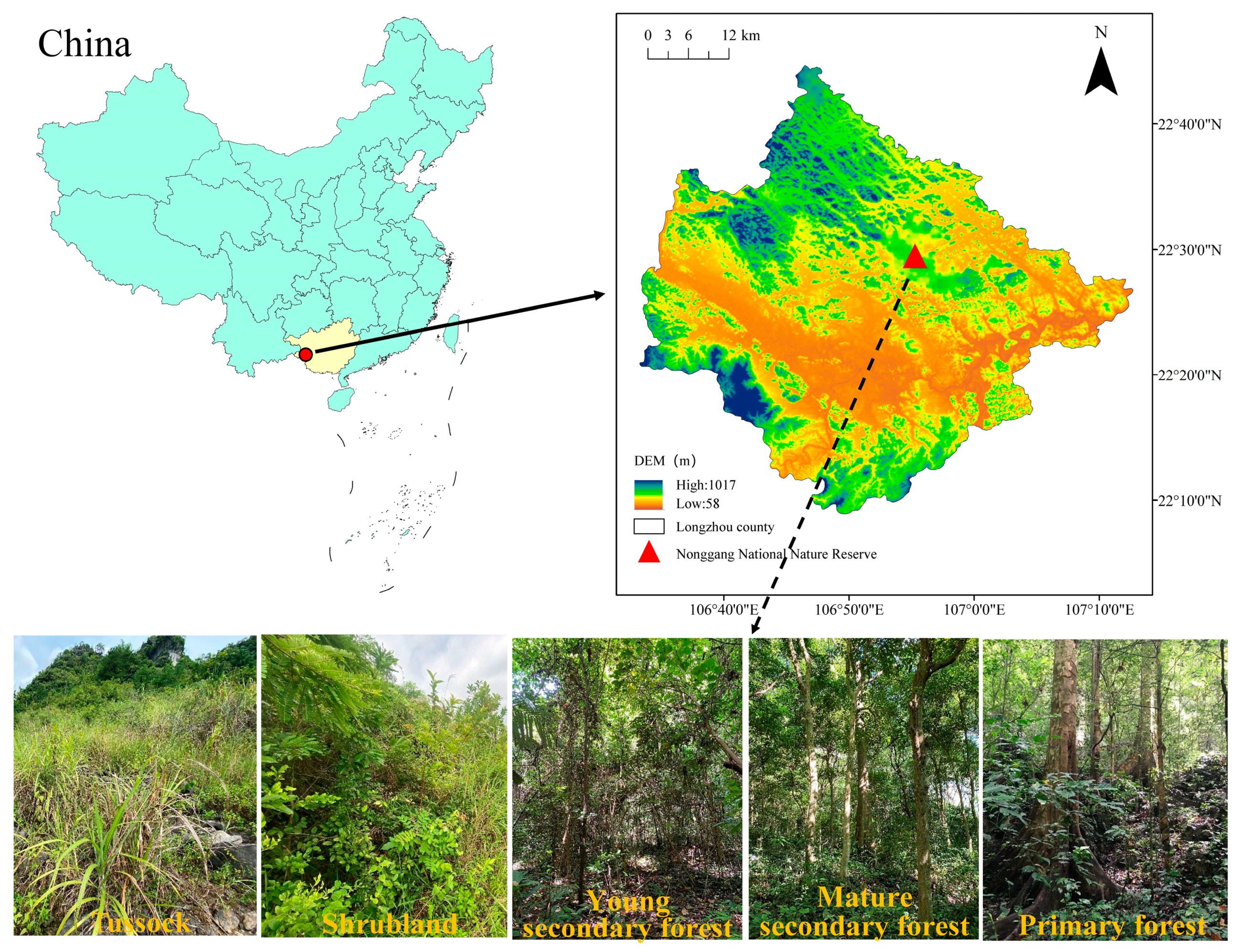 Forests 15 01270 g001