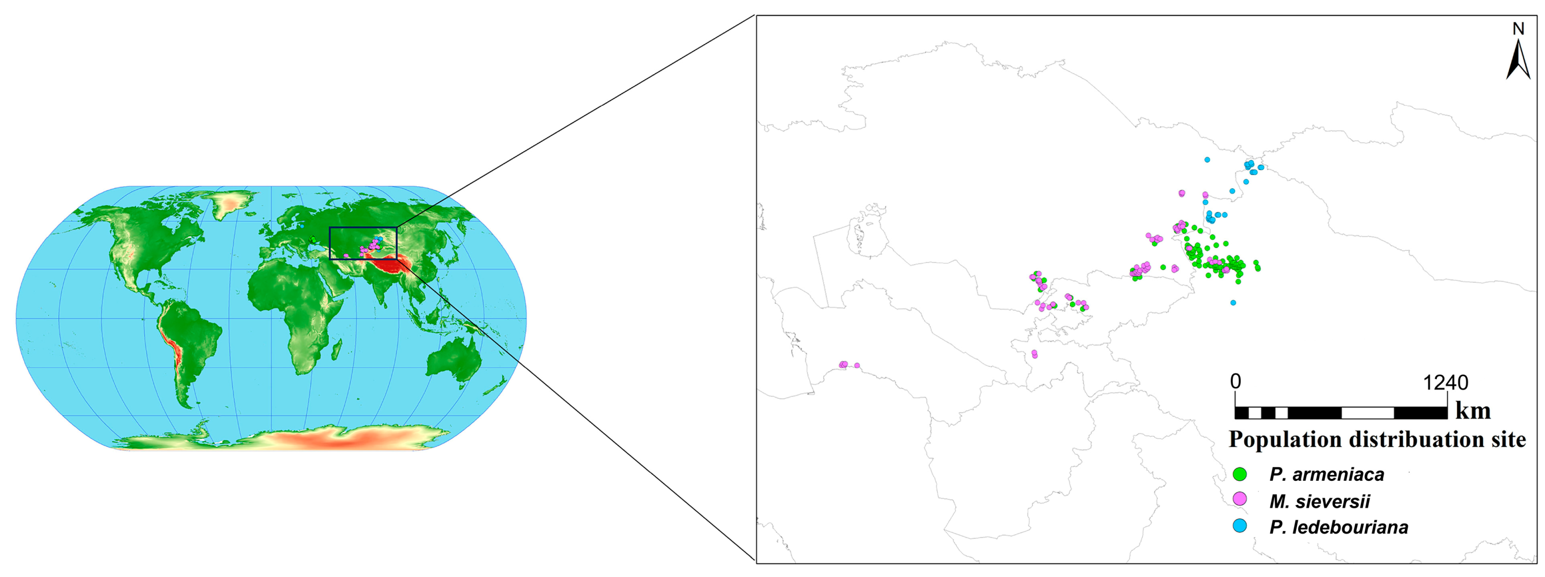 Forests 15 01281 g001